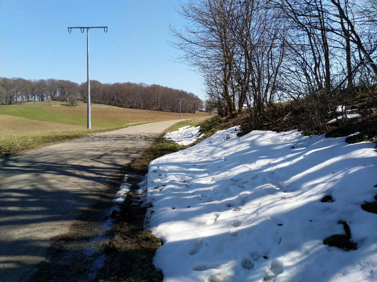 Photo showing: Letzter Schnee im April auf der rauen Alb bei Wiesensteig...