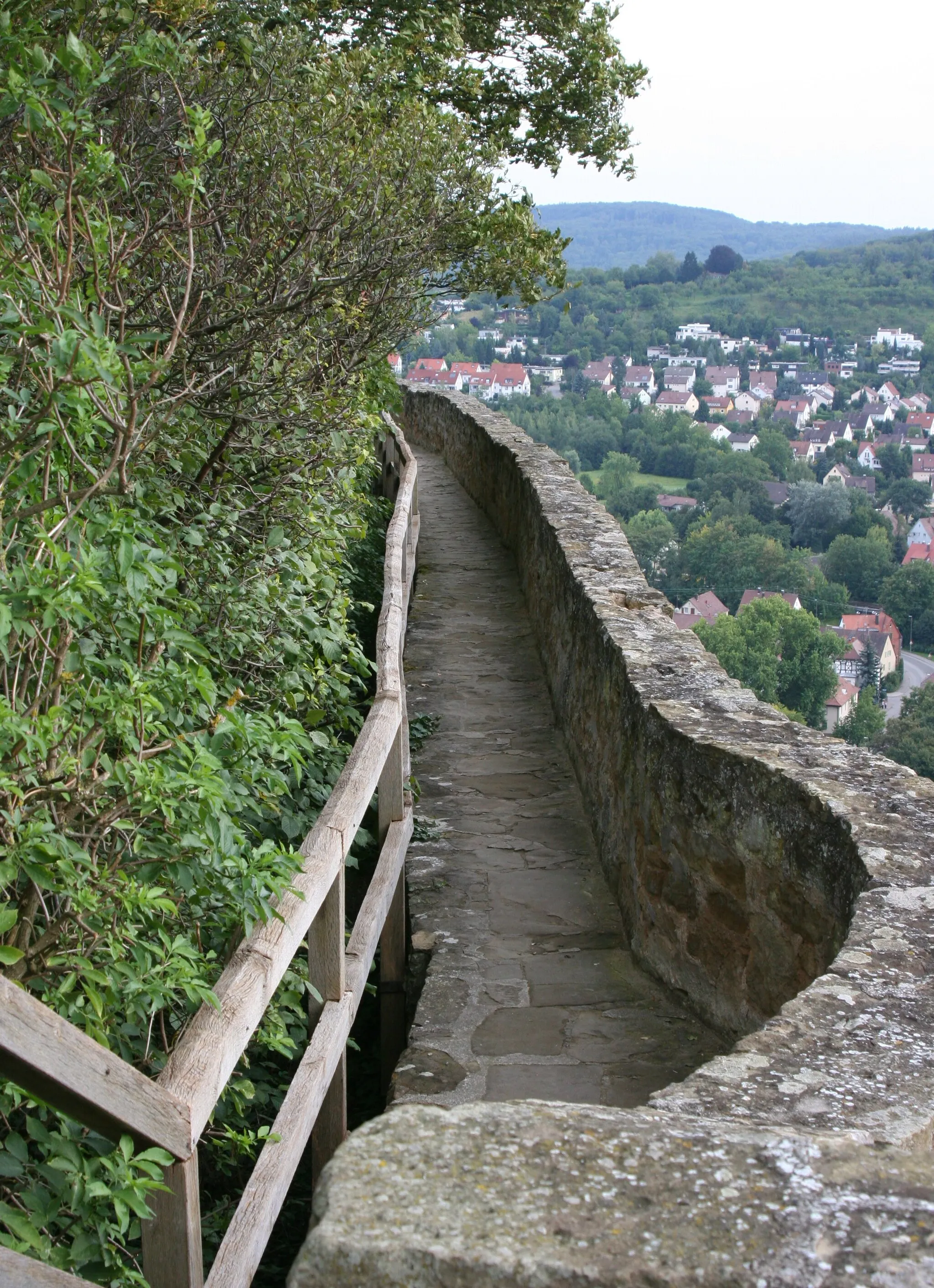 Photo showing: Burgruine Weibertreu from the West