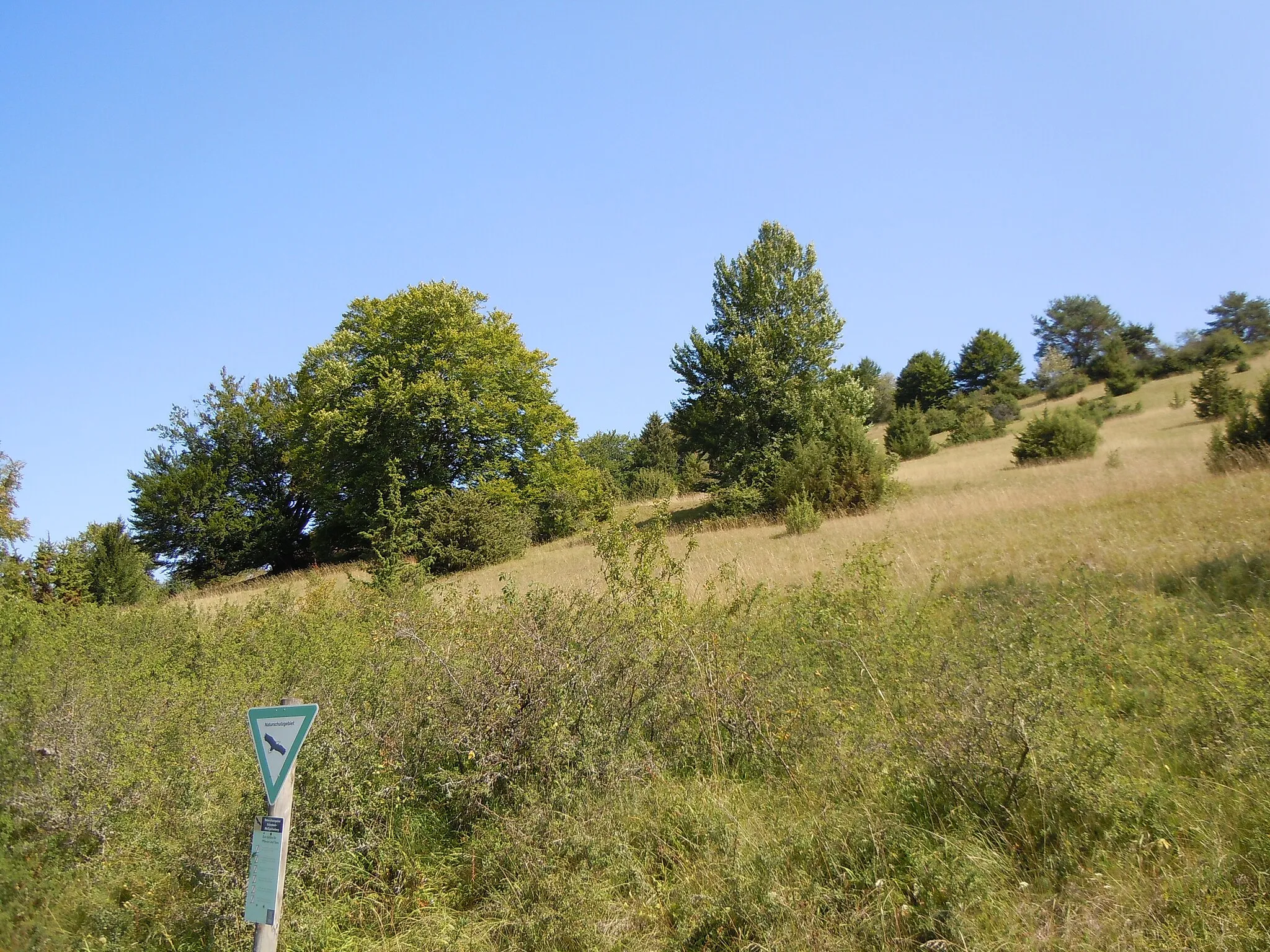 Photo showing: Naturschutzgebiet "Eckenlauh-Weißgerbergberg" (Schutzgebiets-Nr. 4.236). Bereich "Eckenlauh", Blickrichtung Nordost.