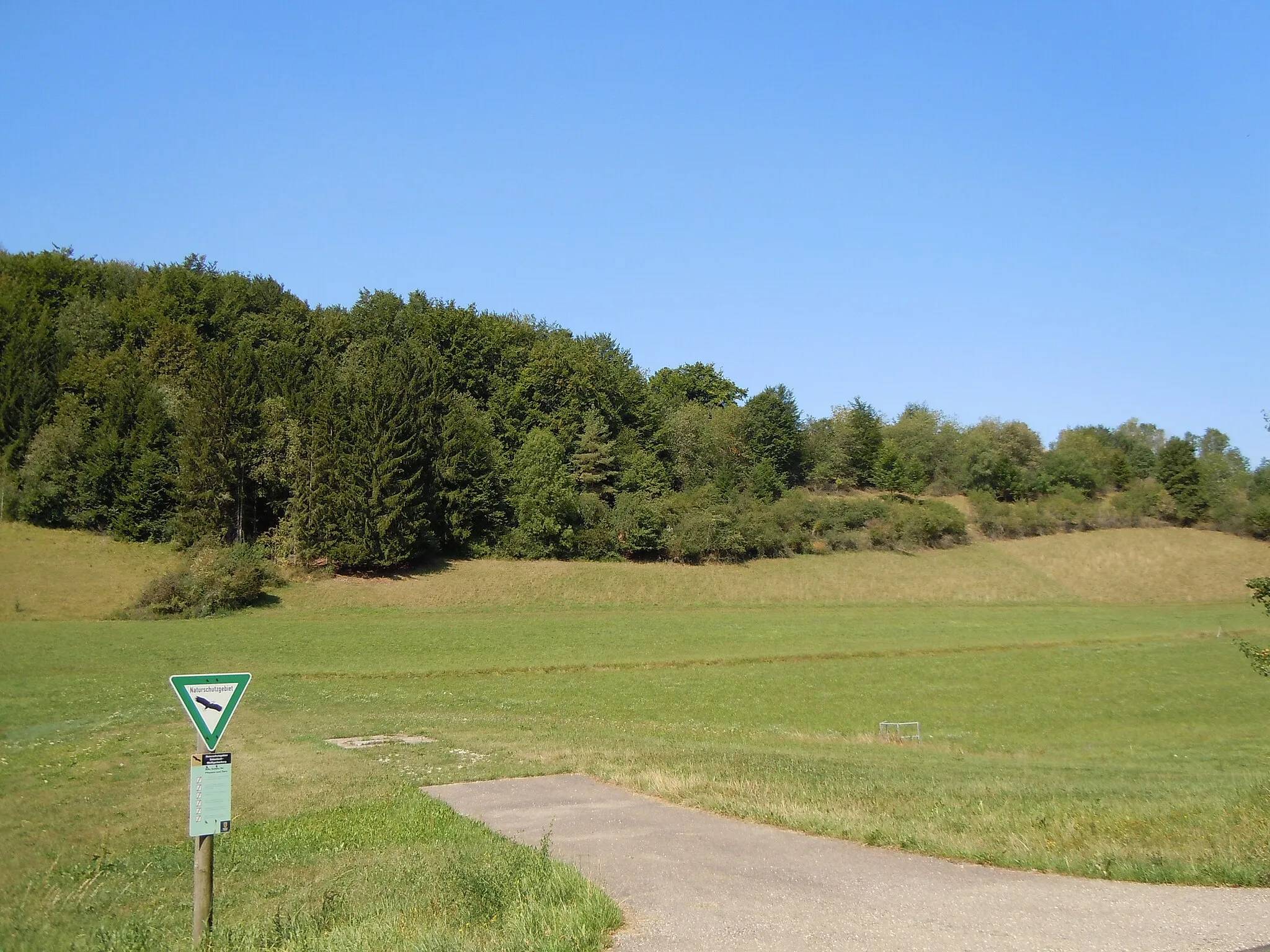 Photo showing: Naturschutzgebiet "Eckenlauh-Weißgerbergberg" (Schutzgebiets-Nr. 4.236). Bereich "Weißgerbergberg", Blickrichtung West.