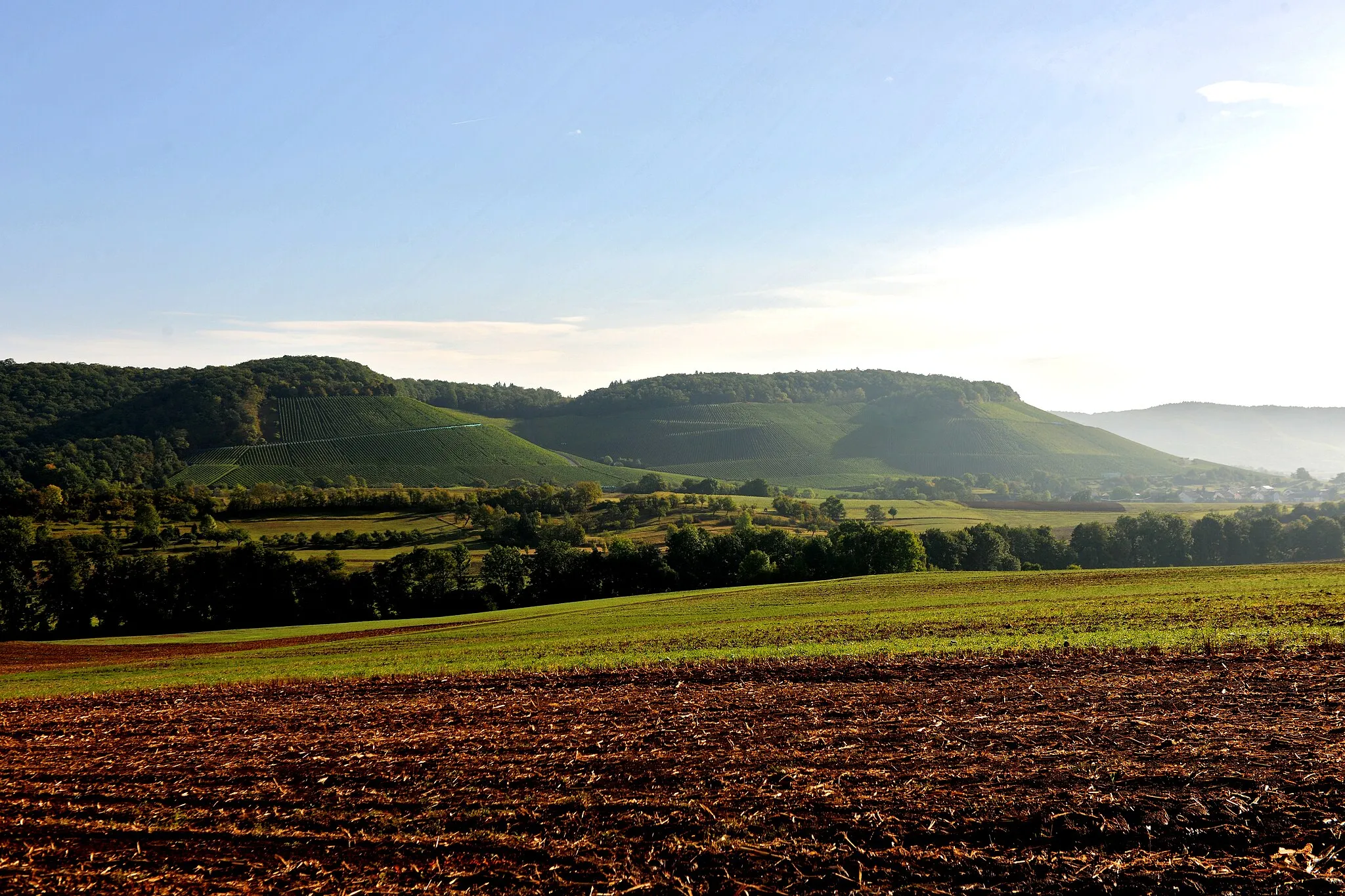 Photo showing: Weinbergslage Gündelbacher Wachtkopf, Anbaugebiet Württemberg, Deutschland