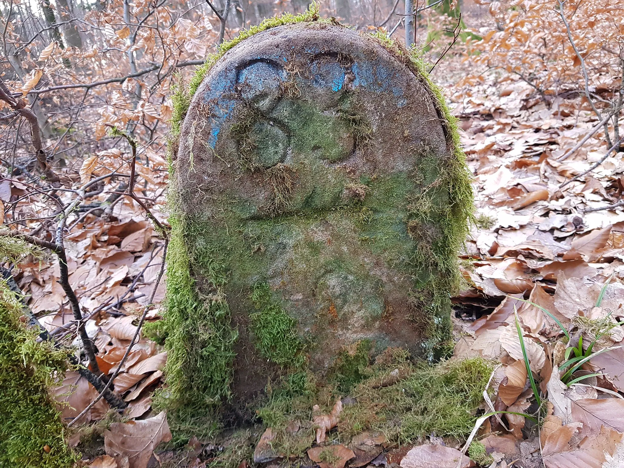 Photo showing: Grenzstein Schlierkopf (Häfnerhaslach, Ochsenbach) Nr. 83/370 Seite 2, Standort: im Waldgebiet um den Schlierkopf herum, Grenzverlauf zwischen Häfnerhaslach und Ochsenbach, Koordinaten: Breitengrad: 49.034166666666664, Längengrad: 8.935833333333333