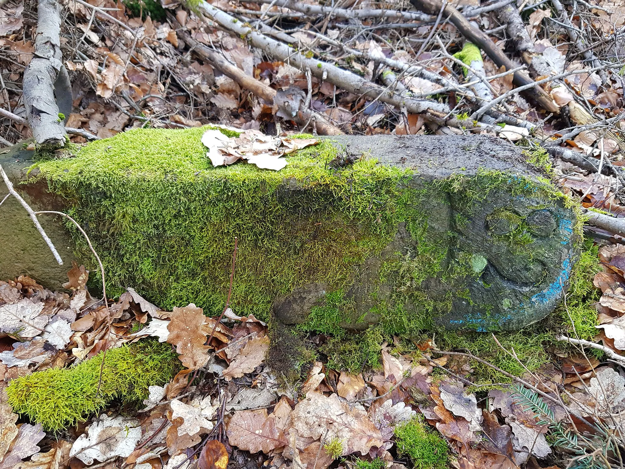 Photo showing: Grenzstein Schlierkopf (Häfnerhaslach, Ochsenbach) Nr. 82 Seite 2, Zustand: liegend, Standort: im Waldgebiet um den Schlierkopf herum, Grenzverlauf zwischen Häfnerhaslach und Ochsenbach, Koordinaten: Breitengrad: 49.034166666666664, Längengrad: 8.936666666666667