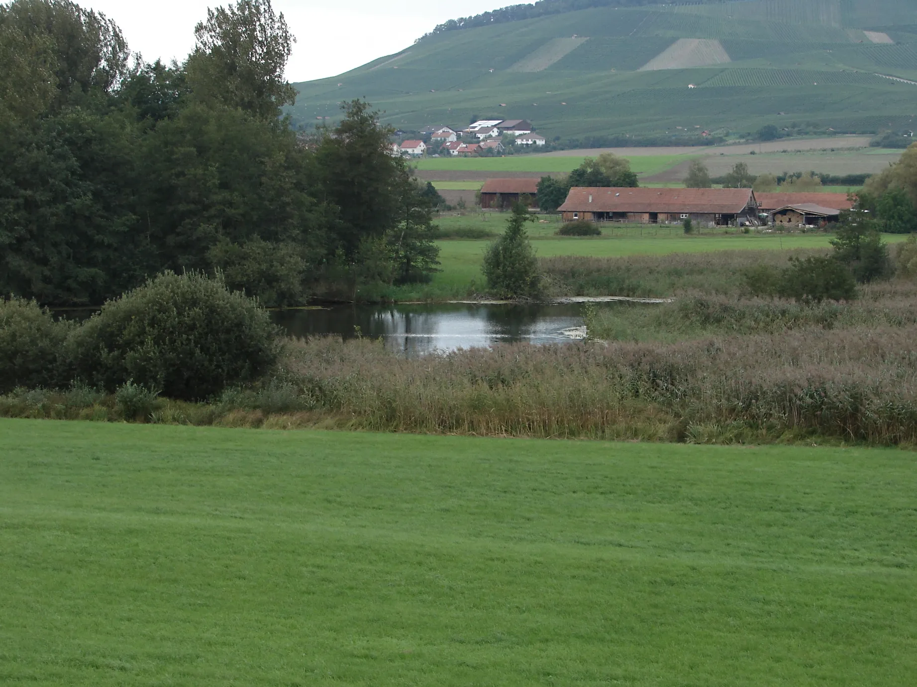 Photo showing: Horrheim, Württemberg, Germany: Unterer See Nature Reserve