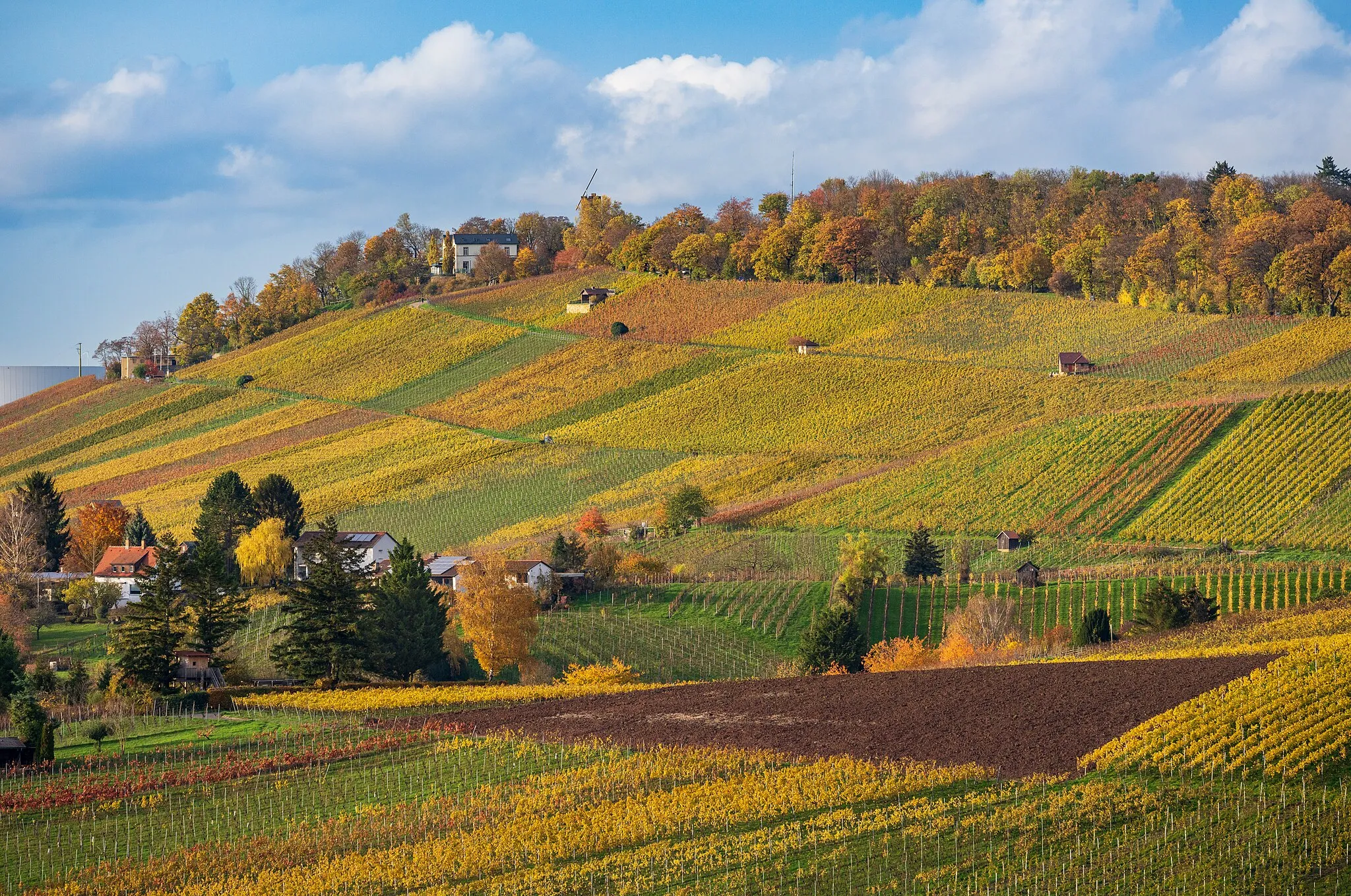 Photo showing: Blick vom Heilbronner Keuperweg unterhalb des Galgenbergs nach Nordwesten über Weinberge und Felder auf den Wartberg. Aufnahme an einem Spätherbst-Nachmittag. Die Entfernung vom Aufnahme-Standort zur Wartberg-Gaststätte (links am Ende des Höhenzuges) beträgt knapp 3 km. Links hinter dem Hang des Wartbergs ist der Kühlturm des Kohlekraftwerks zu sehen.