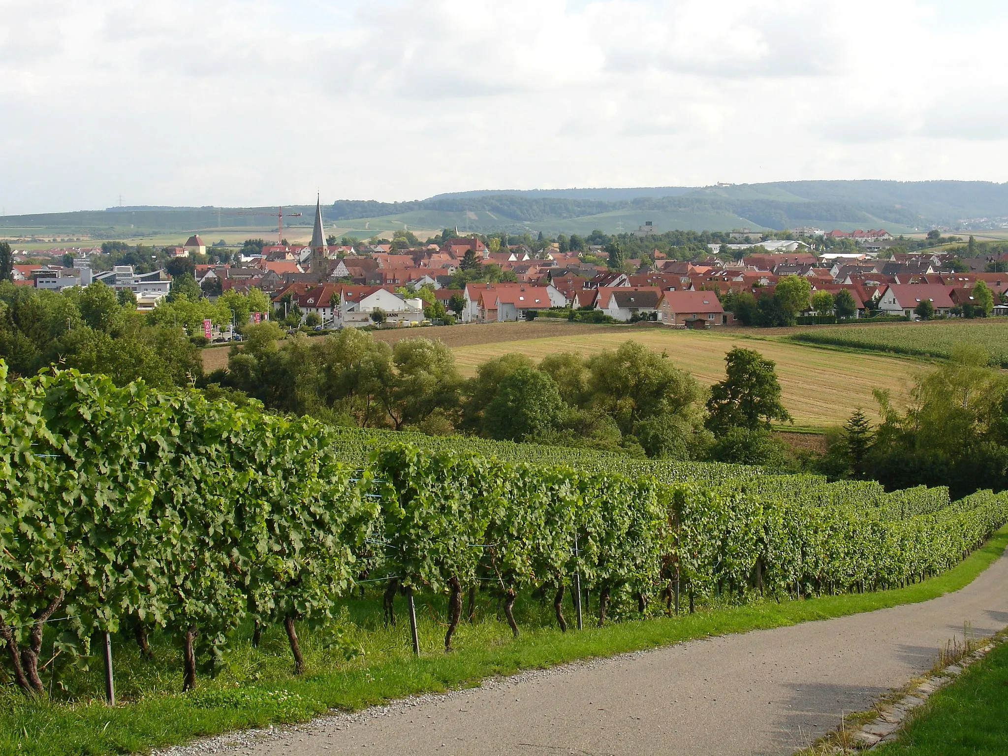 Photo showing: Die Stadt Brackenheim. Ziemlich genau nach Süden (~190°) fotografiert.