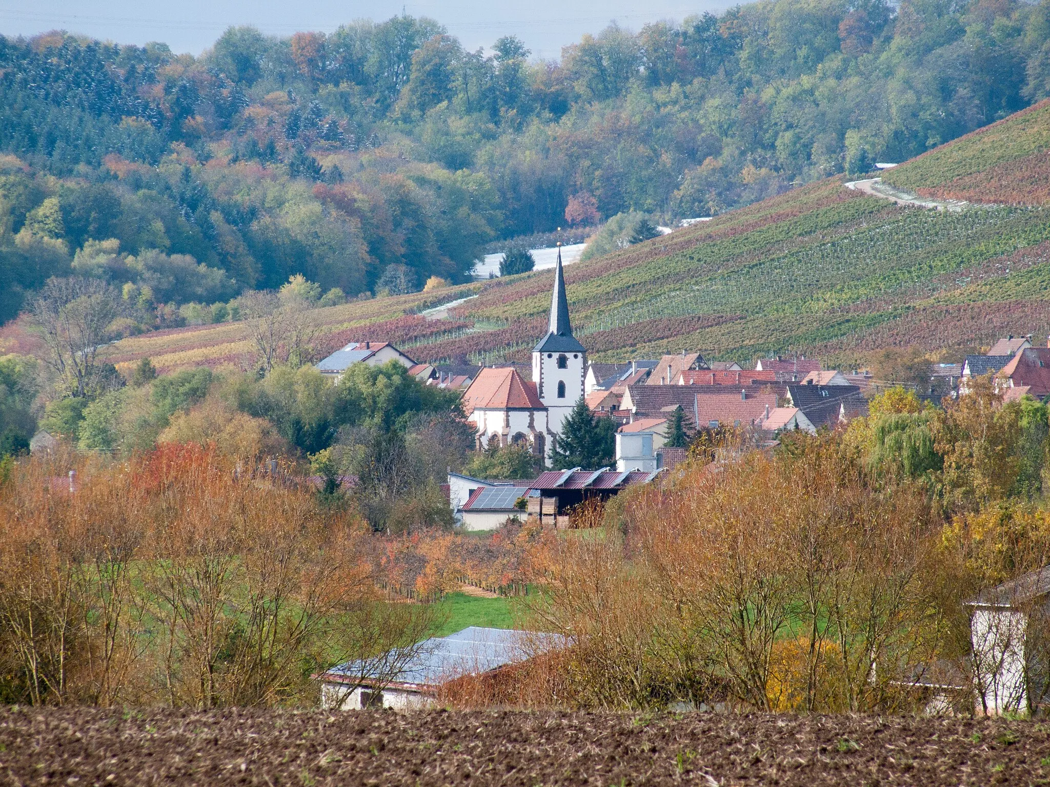 Photo showing: Blick von Ost-Südosten auf die gotische Kirche St. Ulrich im Brackenheimer Teilort Stockheim. Die Aufname betont die idyllische Lage der Kirche in der Talmitte, umgeben von den Wiesen und Weinbergen des Dorfes. Auf diesem Bild zeigen die Weinberge rings um das Dorf ihr buntes Herbstkleid, dessen Leuchten von dem an diesem Tag gefallenen Schnee noch verstärkt wird.