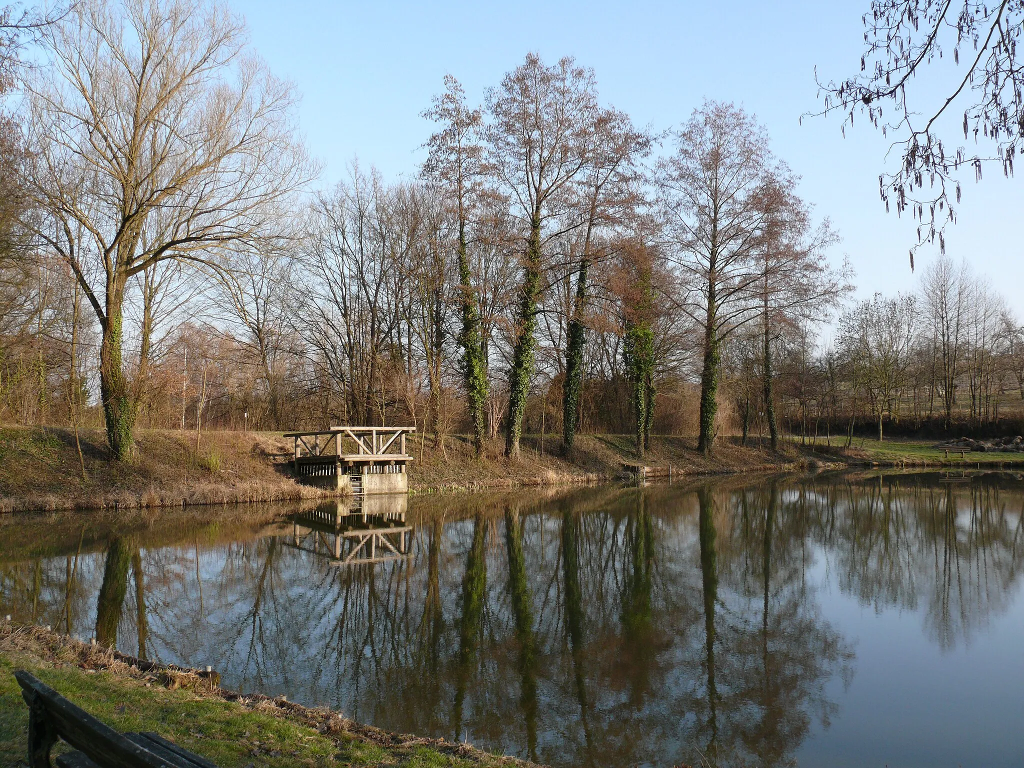Photo showing: Fishpond west of the village Stockheim (a district of Brackenheim, Baden-Württemberg, Germany), photographed in March, seen from northwest.