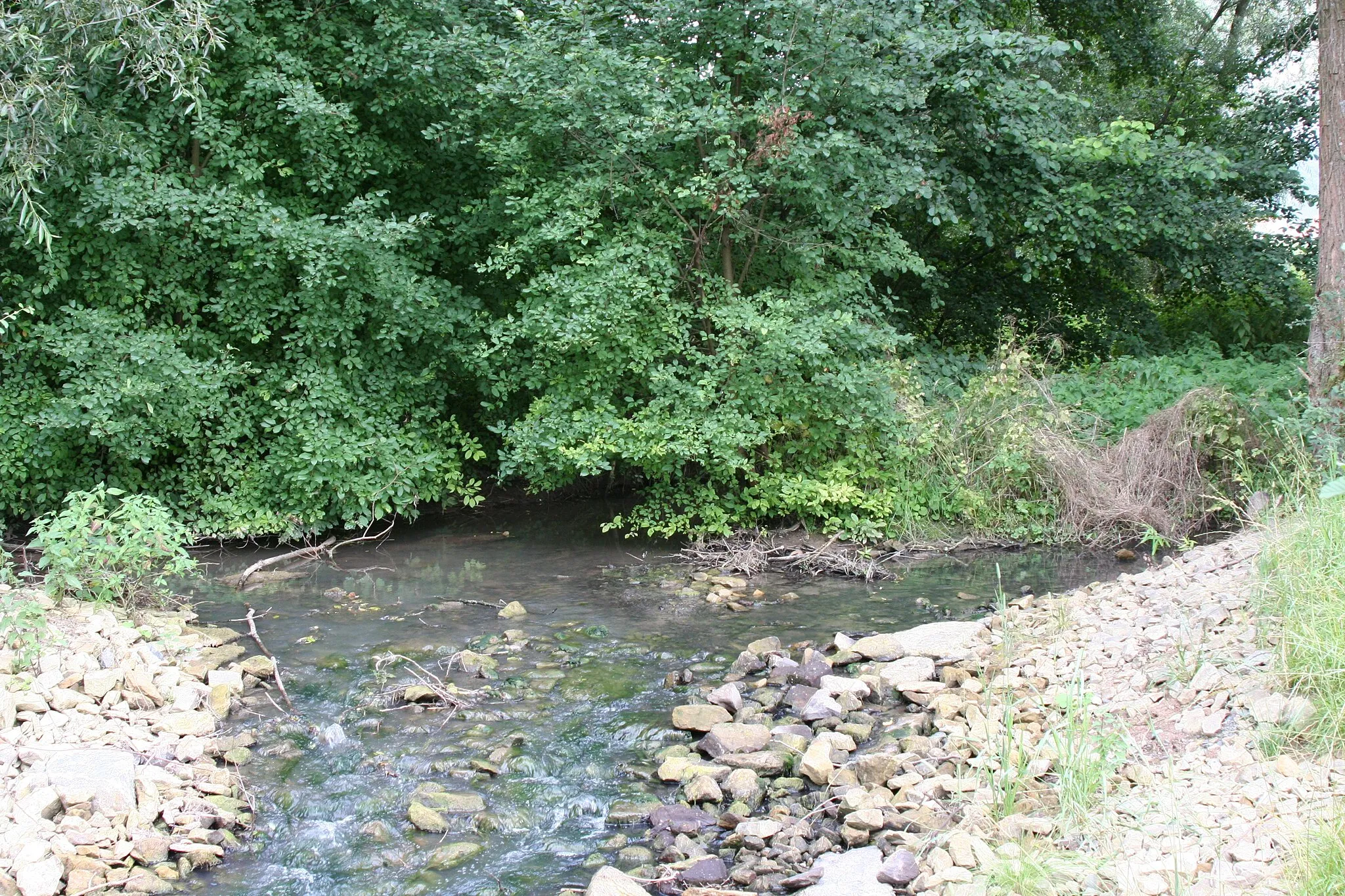 Photo showing: Intersection of the mill canal (from the right) of the mill in Obersulm-Affaltrach with the Sulm tributary Schlierbach (from the background) and joined continuation into the foreground. On the left the mill canal continues for a few metres before its water is led into the Schlierbach as well. The rest of the mill canal is not used anymore.