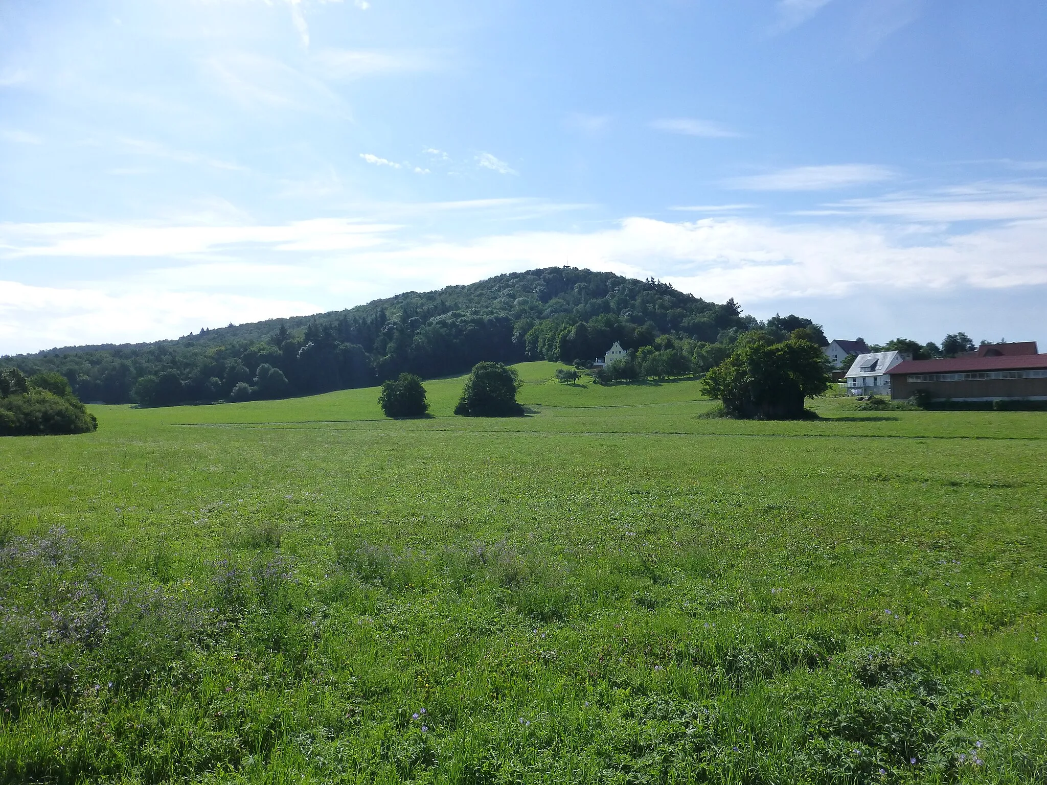 Photo showing: Einkorn aus Nordwesten; rechts Burgbretzingen