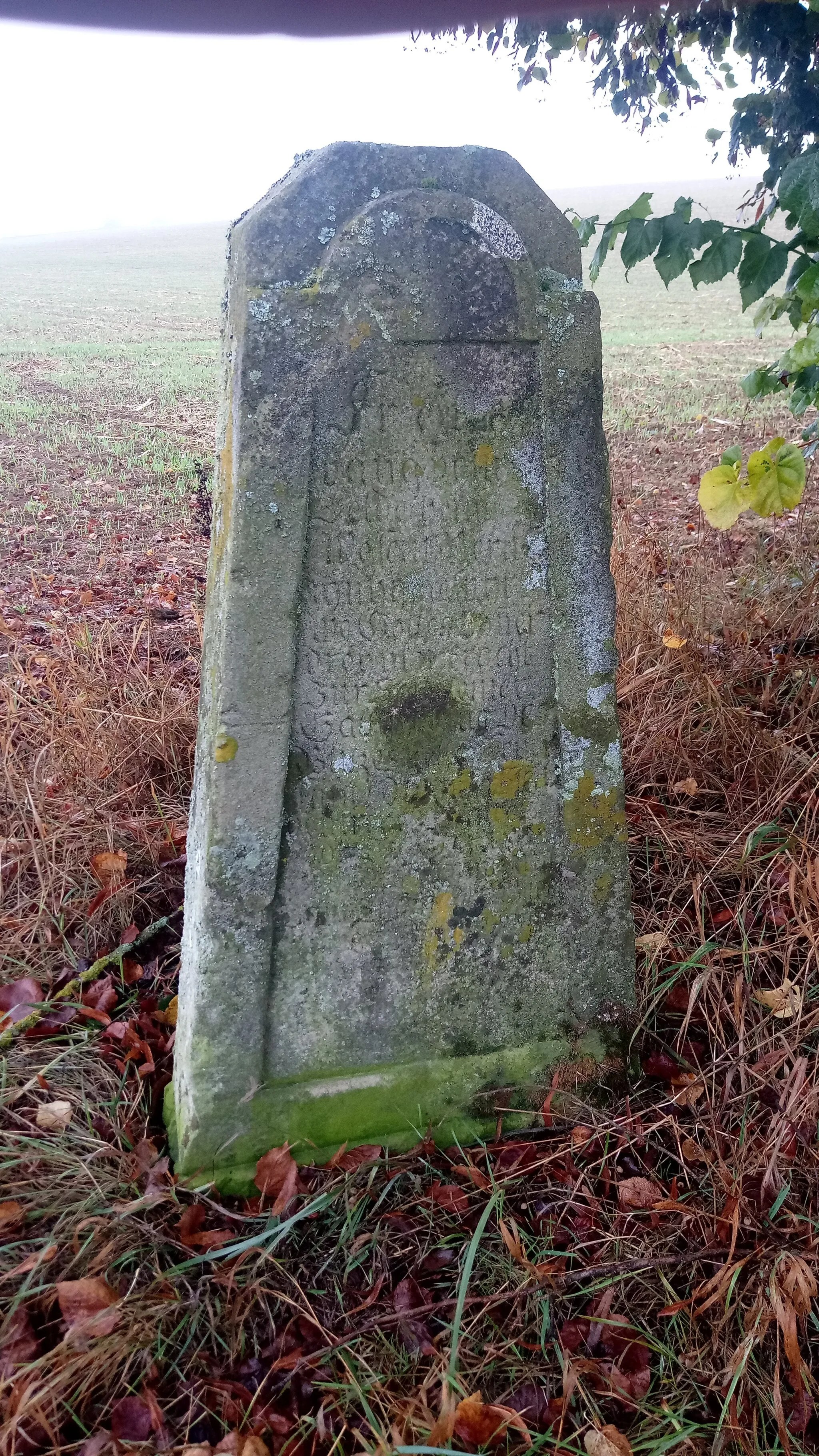 Photo showing: Ein an einen tödlichen Unfall 1850 durch Blitzschlag erinnerndes Kleindenkmal bei Unterschefflenz