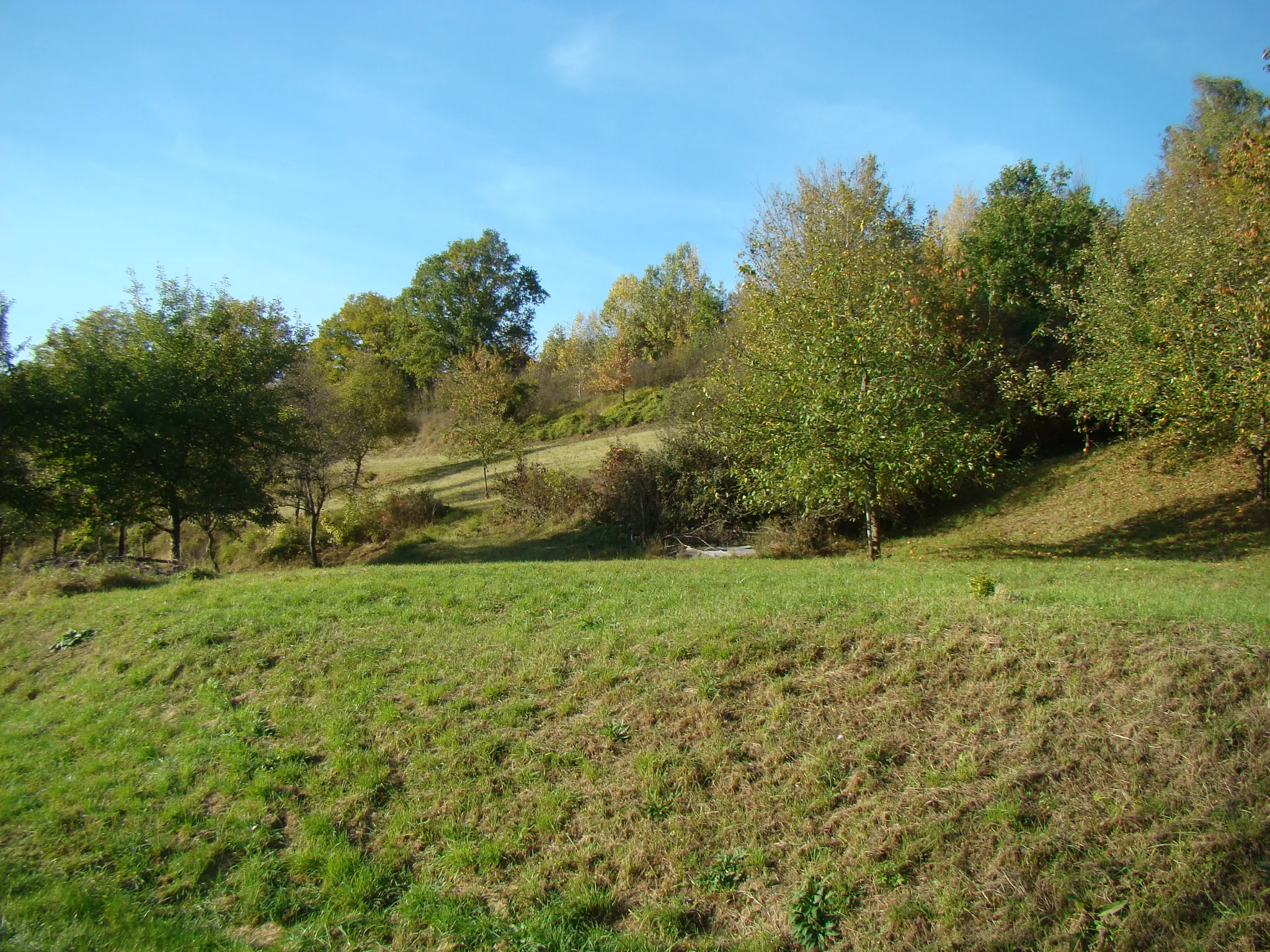 Photo showing: Ehemalige Weinberge bei Heilbronn-Biberach