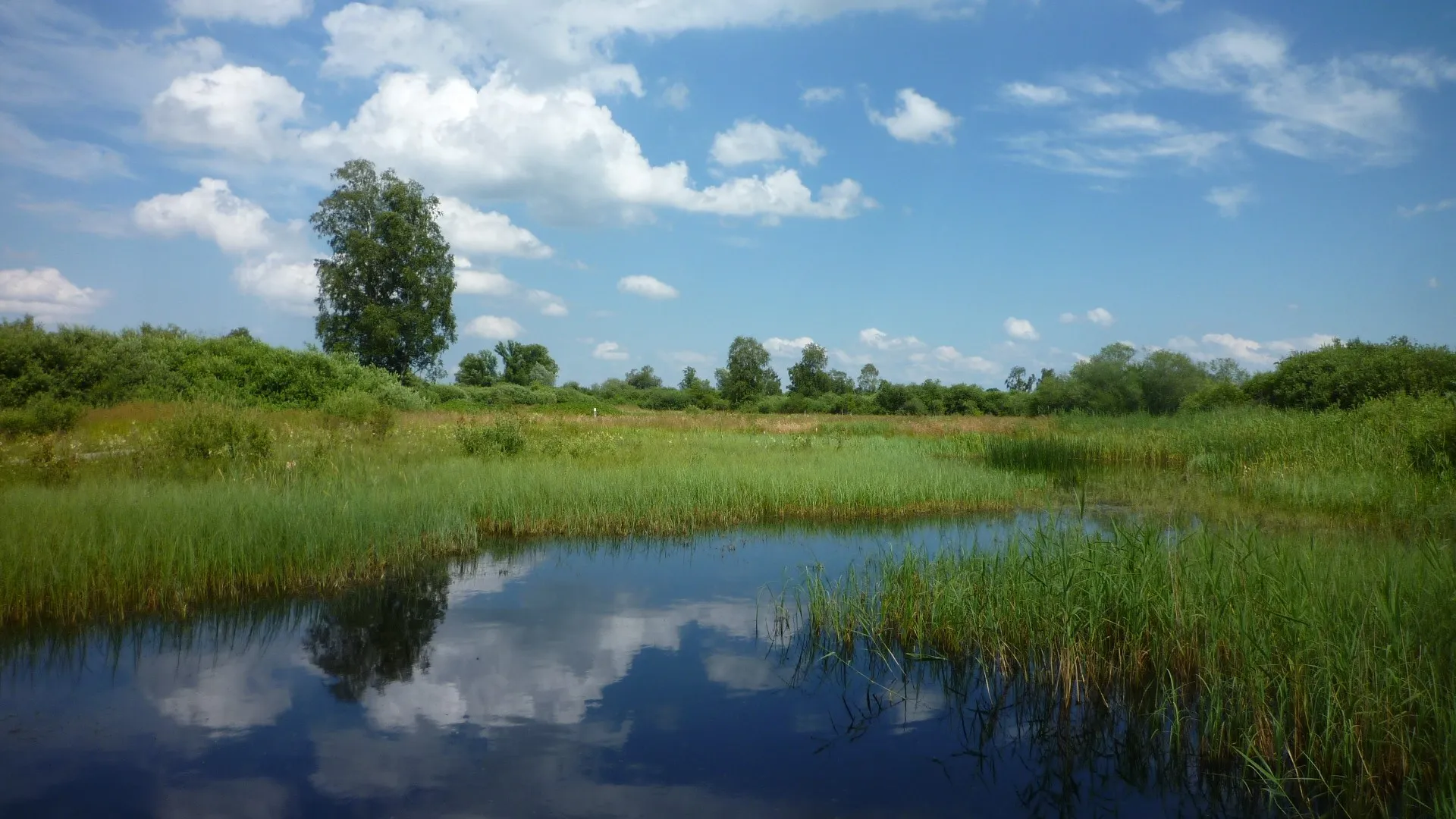 Photo showing: Leipheim - Schwäbisches Donaumoos, Bohlenweg_07