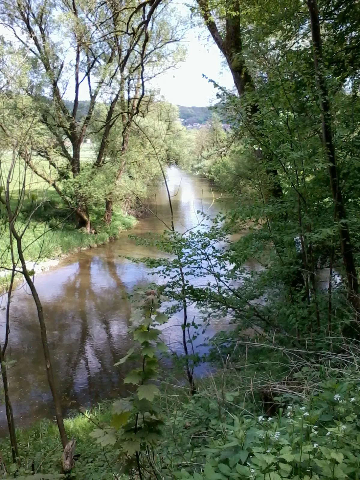 Photo showing: The river "Kocher" near the village Gelbingen, district Schwaebisch Hall, Baden-Württemberg.