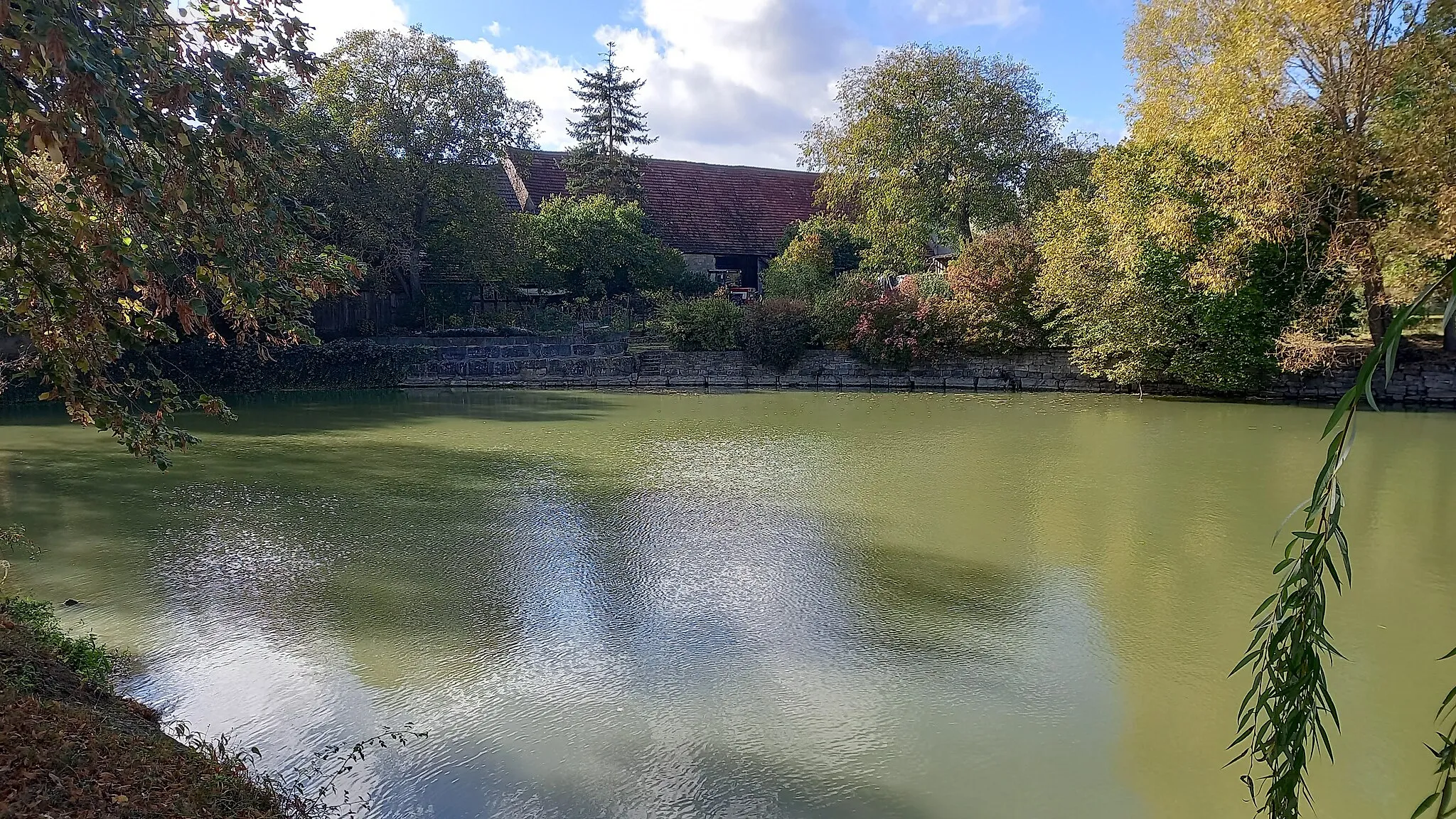 Photo showing: Krensheimer See mit Mauerresten die eventuell von der früheren Burg stammen.