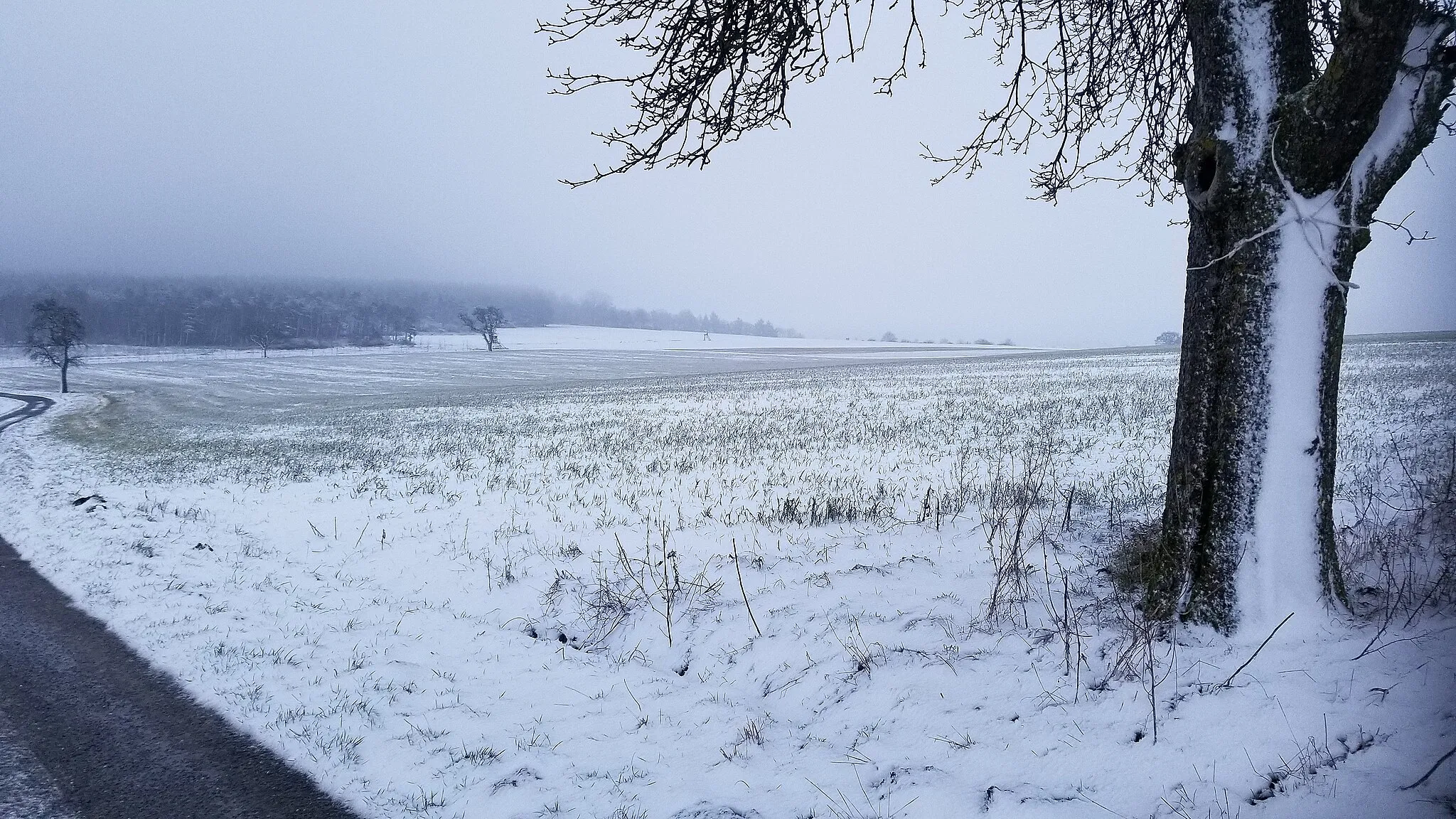Photo showing: Snowy afternoon, north of Oberschefflenz, January 2022