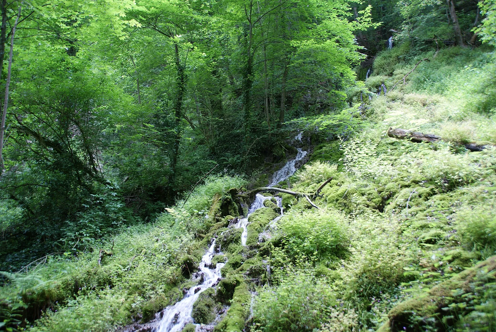 Photo showing: Beginn des Autalbaches, Wasserfälle zum Autal unterhalb der Brunnensteighöhle bei Aufhausen (Geislingen a.d. Steige) im Gebiet von Bad Überkingen