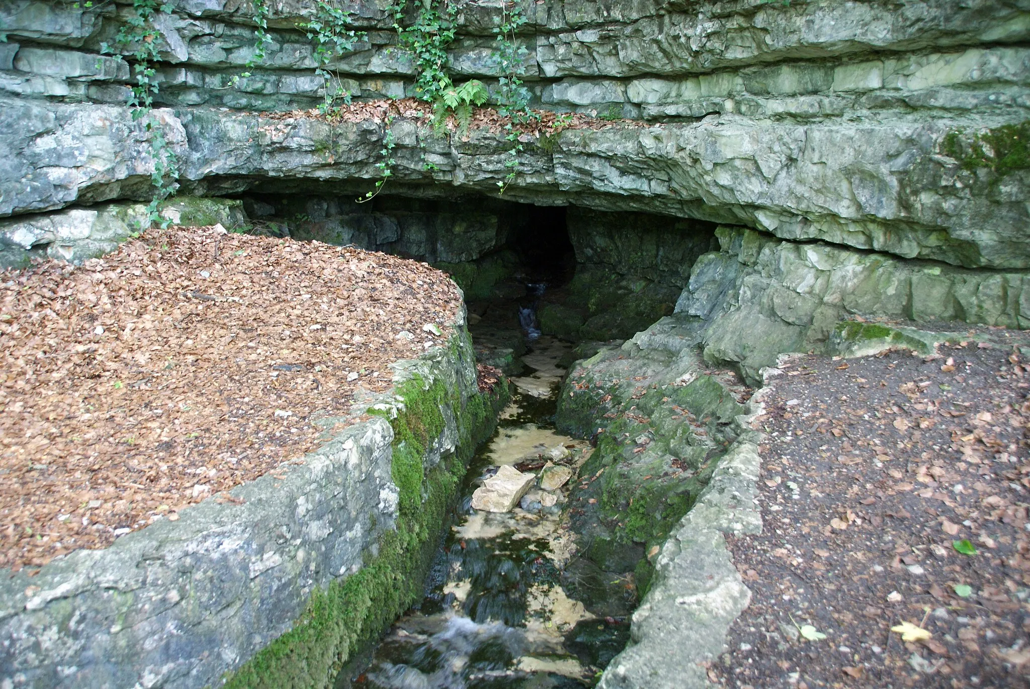 Photo showing: Brunnensteighöhle unter dem Albtrauf zum Autal bei Aufhausen (Geislingen a.d.Steige) im Gebiet von Bad Überkingen