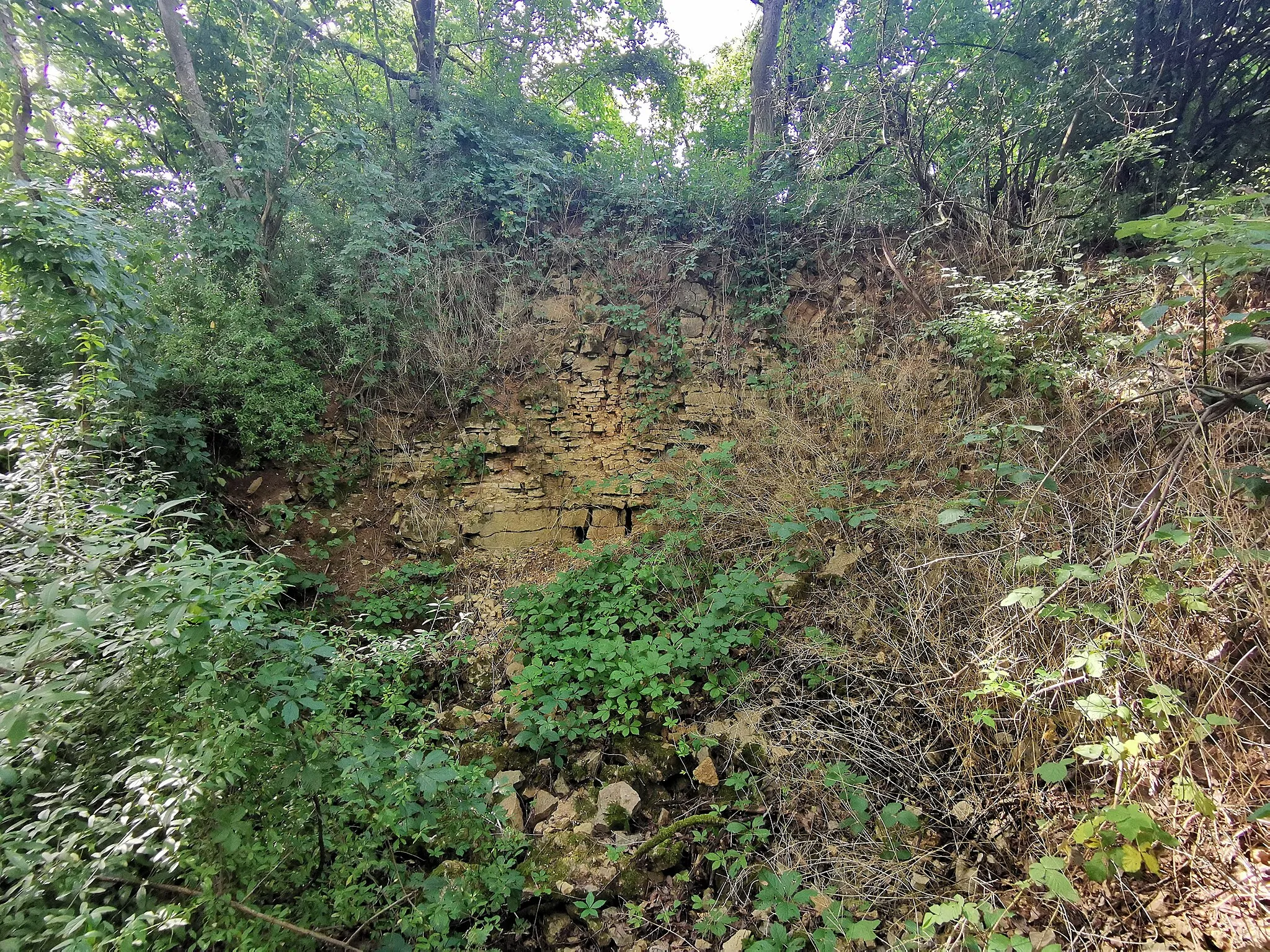 Photo showing: Naturdenkmal Geologischer Aufschluss am Uhlberg, Remseck am Neckar