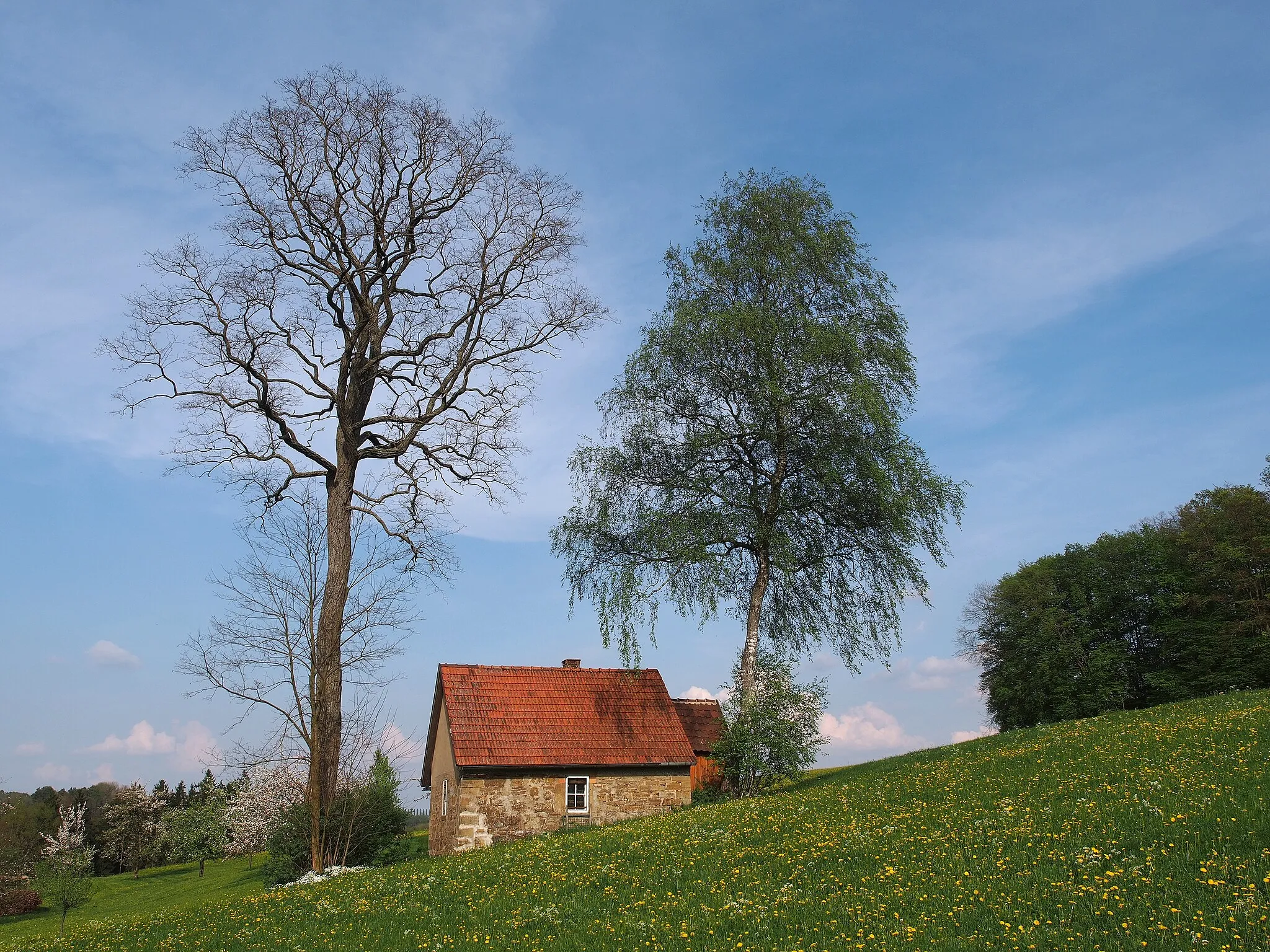Photo showing: Barn near Mulfingen on a pasture with oak and birch trees