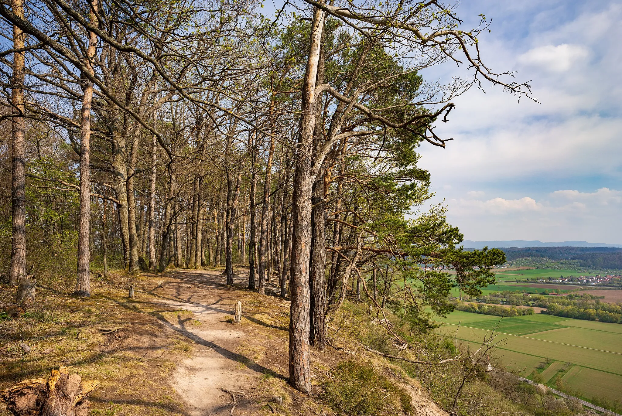 Photo showing: Kiefernhain, Magerwiesen am Steilhang und Aussichtspunkt mit Blick ins Neckartal am Oberen Holzackerweg oberhalb des Tübinger Ortsteils Hirschau (Tübingen). Der Obere Holzackerweg verläuft oberhalb des Südhangs des Spitzbergs und bietet, wie an dieser Stelle, immer wieder schöne Aussichten. Der markante Kiefernhain ist typisch für das Landschaftsschutzgebiet „Spitzberg“ (Schutzgebiets-Nr. 4.16.006; WDPA-ID 324721) und gehört vermutlich (die Grenze ist im Gelände nicht markiert) außerdem auch noch zum Naturschutzgebiet „Hirschauer Berg“ (Schutzgebiets-Nr. 4.077; WDPA-ID 81885). Auf jeden Fall gehört der Steilhang rechts mit seinen Magerwiesen zu diesem Naturschutzgebiet. Teile des im Hintergrund sichtbaren Neckartals gehören zum FFH-Gebiet „Spitzberg, Pfaffenberg, Kochhartgraben und Neckar“ (WDPA-ID 555521916).