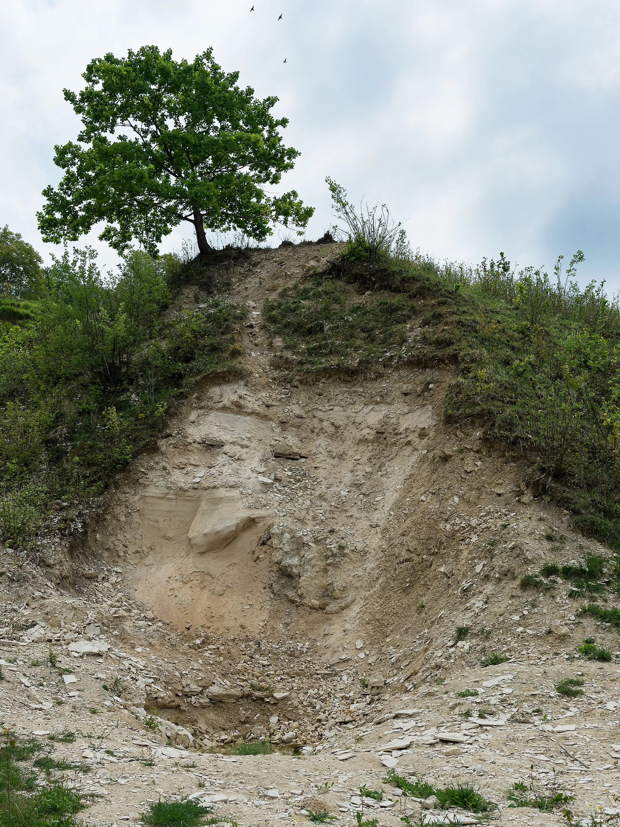 Photo showing: In der Pharionschen Sandgrube in Steinheim am Albuch angelegtes Profil.