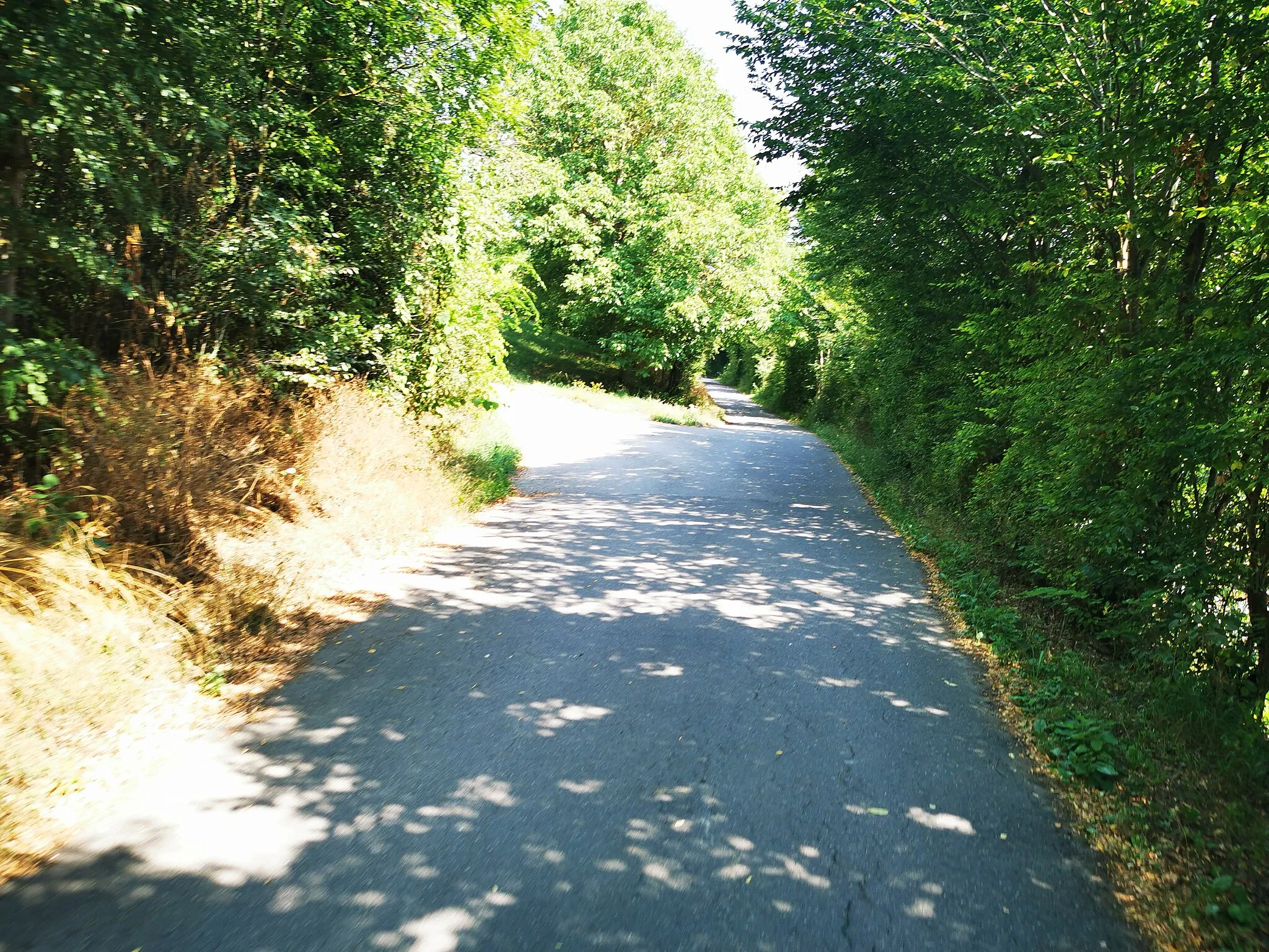 Photo showing: 2020-08-09 Radtour Umpfertalradweg zwischen Schweigern und Unterschüpf mit Ausblick ins Umpfertal und dessen Seitentäler