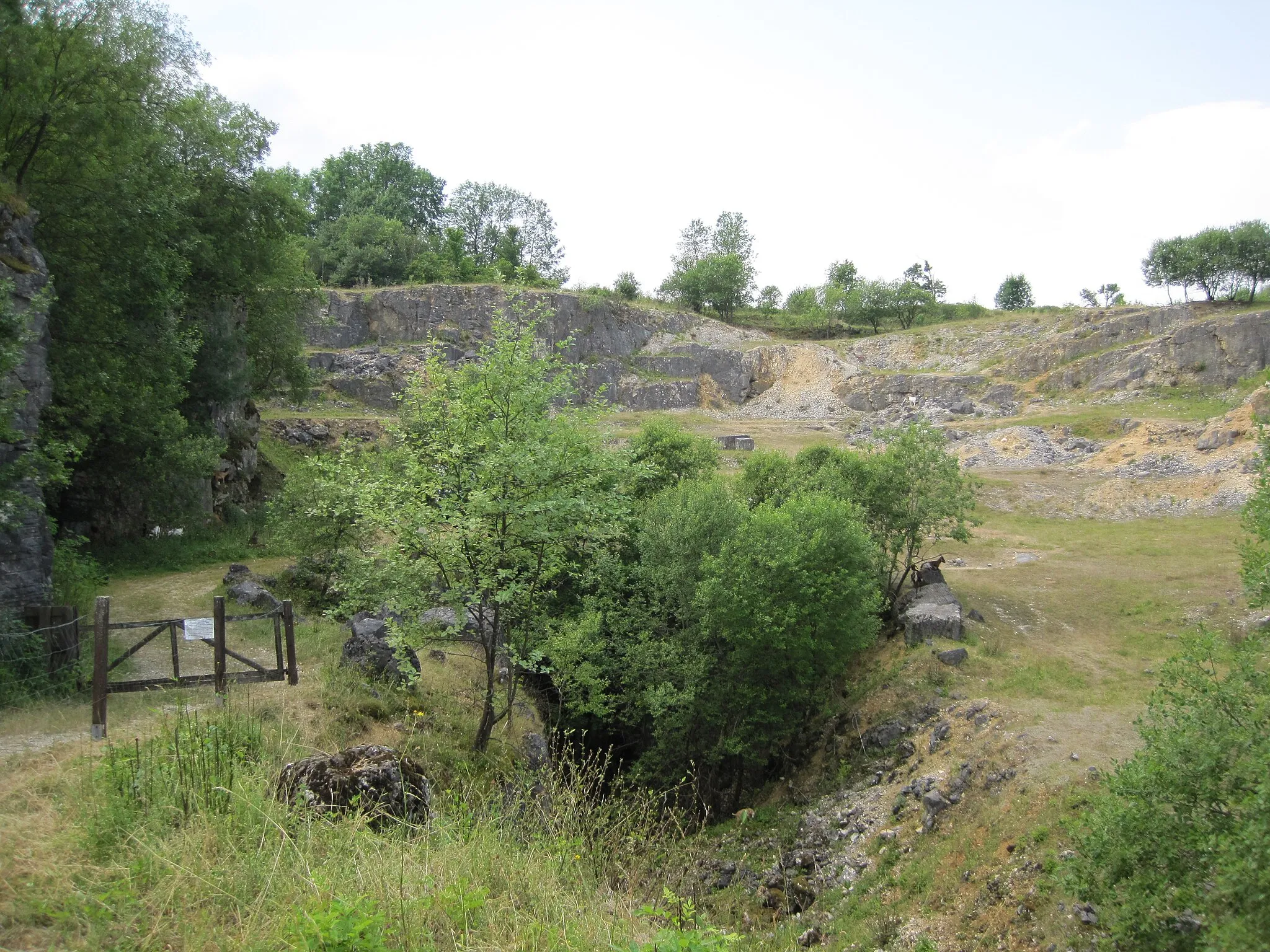 Photo showing: Ehemaliger Juramarmor-Steinbruch bei Schopfloch, heute flächenhaftes Naturdenkmal.