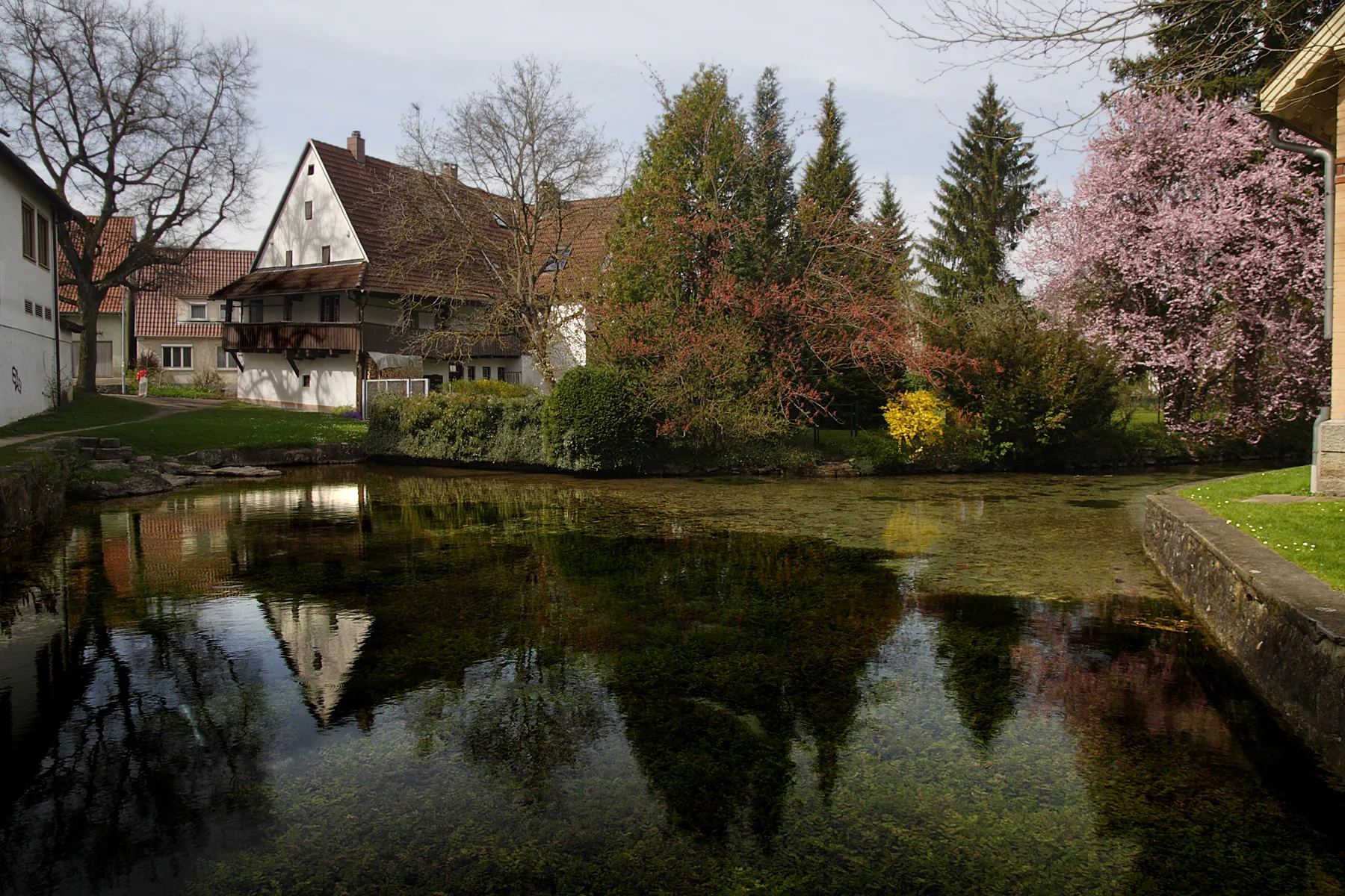 Photo showing: karst spring “Löffelbrunnen“ in the center of Langenau, Swabian Alb (for the karst spring of river Nau in Langenau see the photo: Image:Nau_Karstquelltopf_Langenau_Schwaebische Alb.jpg). The area next after Ulm/Langenau is a permanent wetland of ca. 7,5x15 km, devided by the border Baden-Württemberg and Bavaria. In this area the meltwater of the pleistocene river  Upper Danube transported gravel, over time forming gravel beds of enormous size, functioning as a groundwater reservoir, which kept the surface a wetland.
This kind of “full water tub” contains the karst waters of the southeastern Swabian Alb, mainly from river Lone and its dry valley-tributaries. This river network meanwhile percolates ca. 80% of its precipitation underground to the wetland area of the Danube.
Four large karst springs in Langenau, the biotope/geotope]/natural monument Grimmensee, the Naturschutzgebiet “Langenauer Ried”, „Leipheimer Moos” and “Gundelfinger Moos” are legally protected.