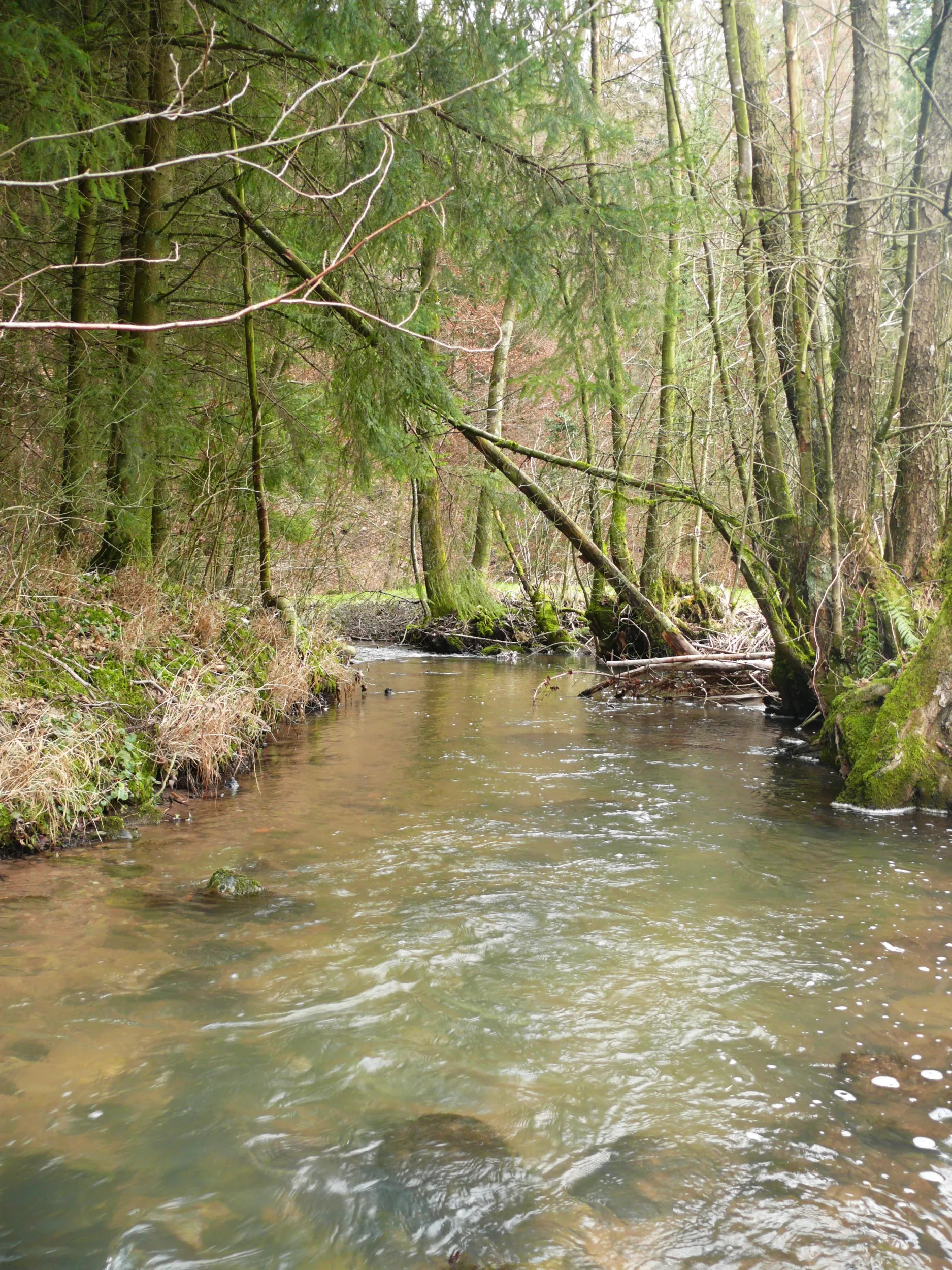 Photo showing: Ohrn bei Pfedelbach-Schuppach