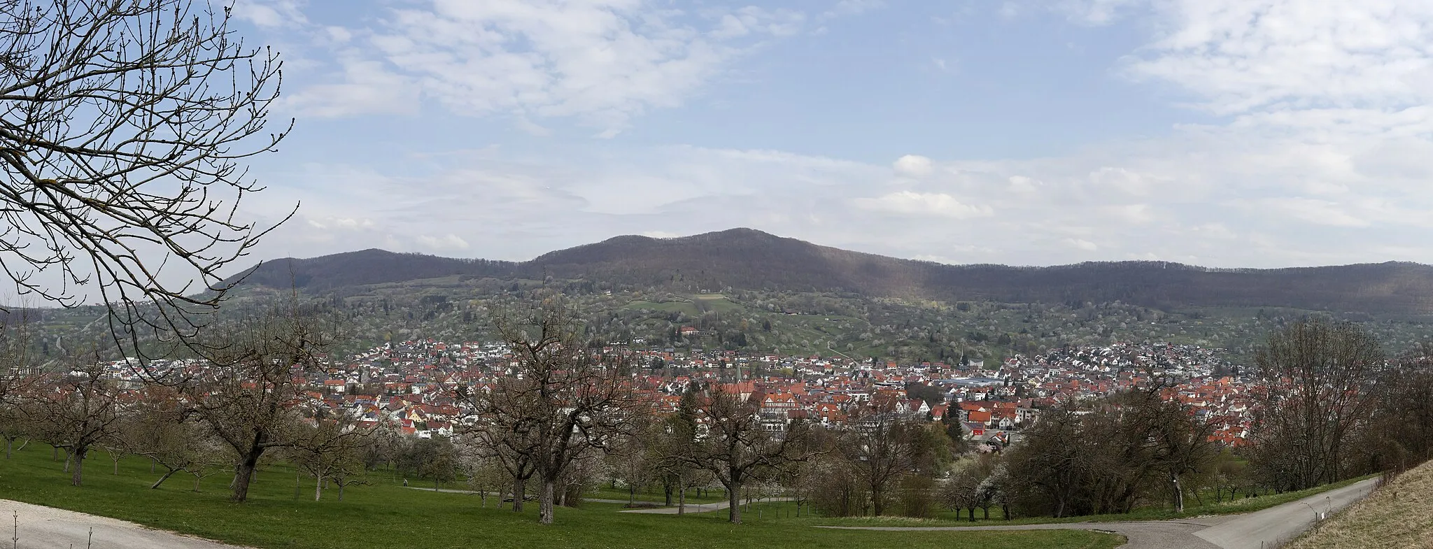 Photo showing: Dettingen an der Erms vom Calverbühl aus gesehen. Panorama aus 9 Einzelaufnahmen erstellt.