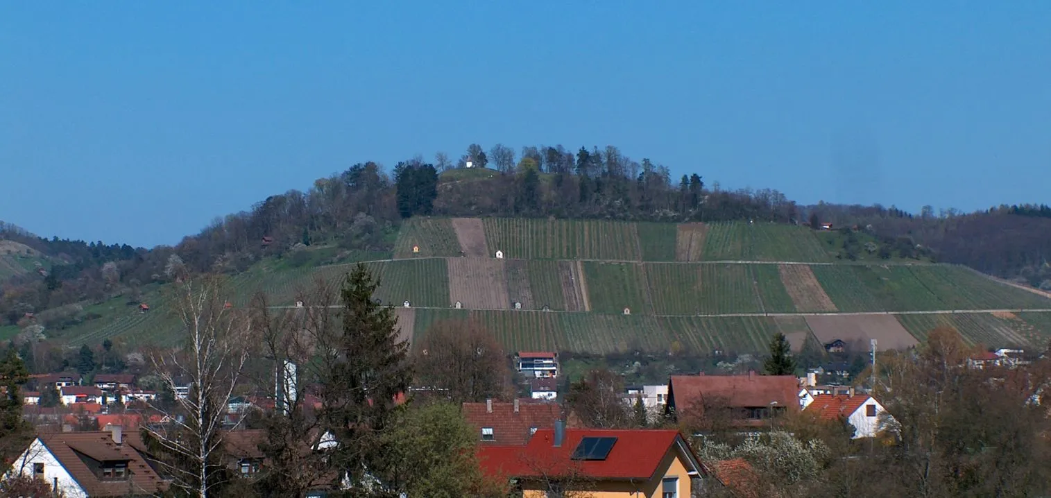 Photo showing: Blick auf den Weinberg Metzingen