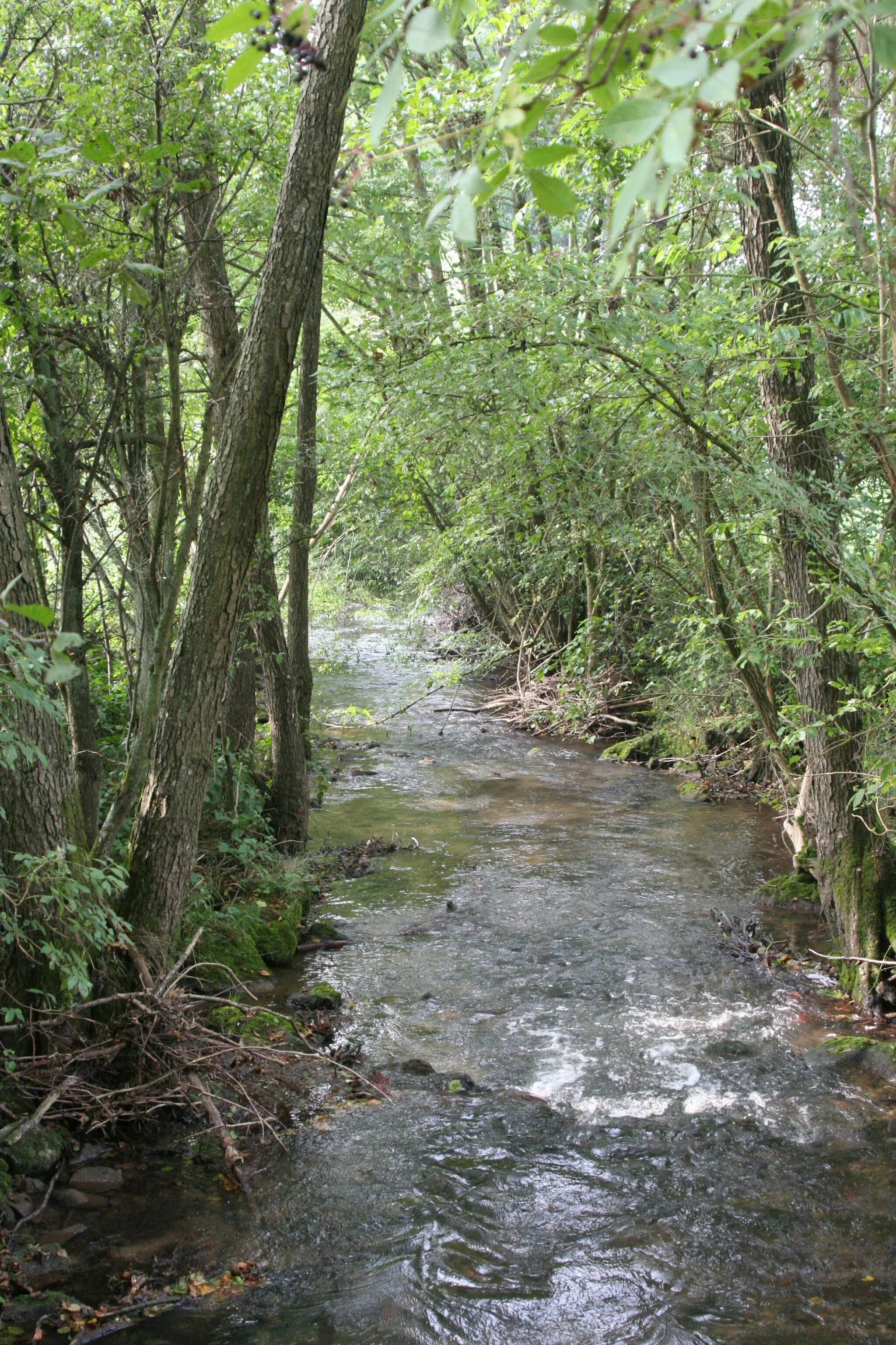 Photo showing: The German creek/river Brettach in Bretzfeld-Brettach