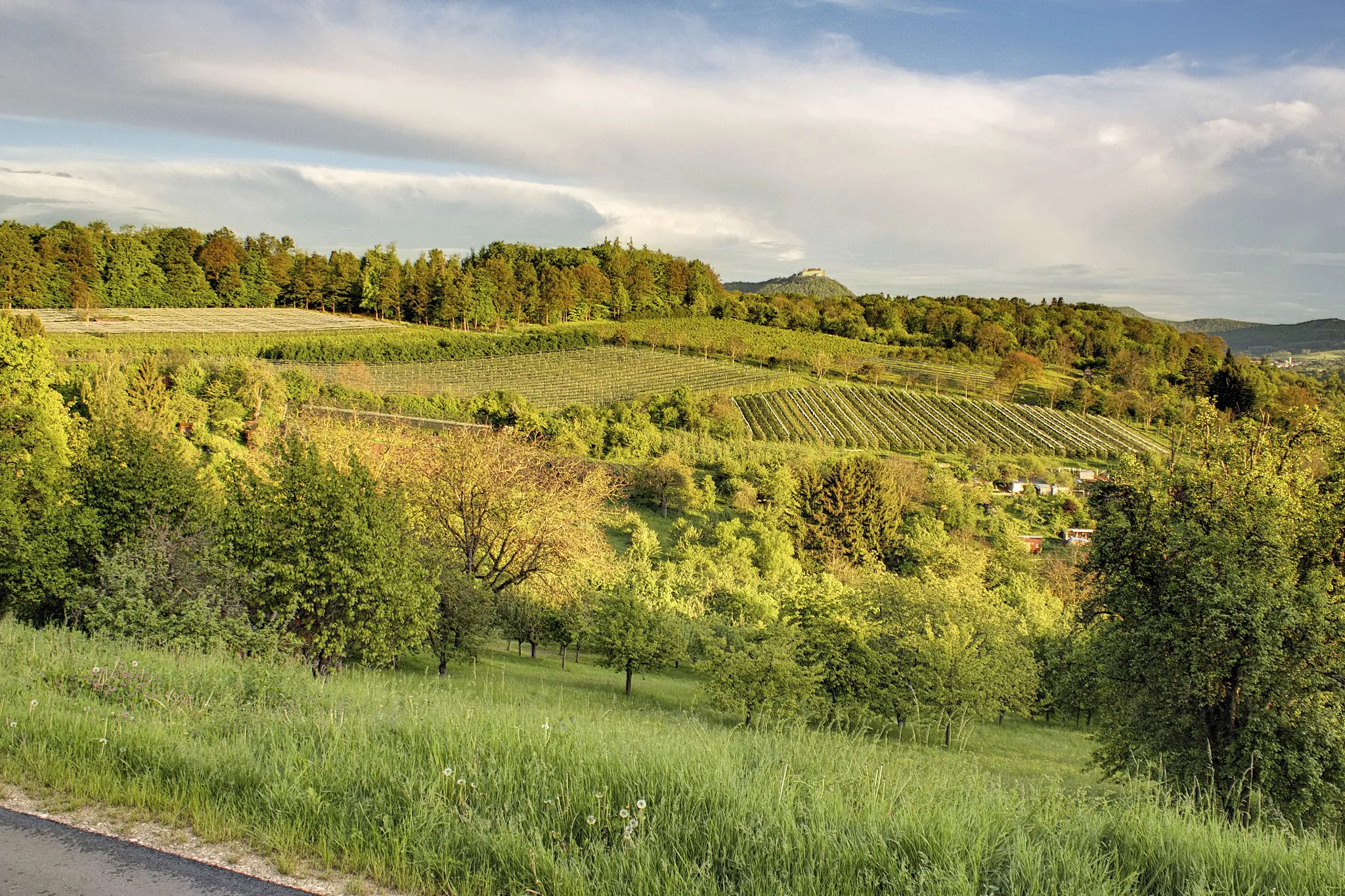 Photo showing: Das sind die Streuobstwiesen in Frickenhausen mit der Burg Hohenneuffen im Hintergrund.