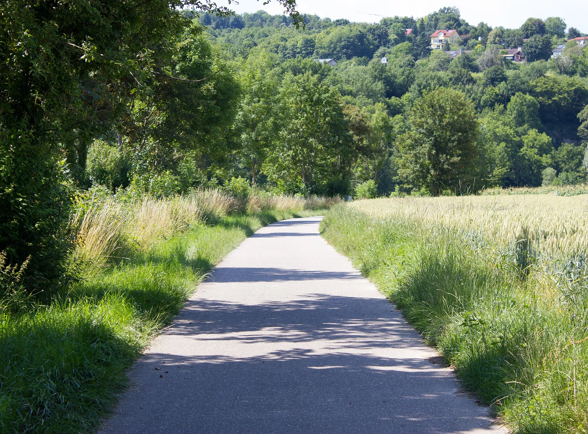 Photo showing: Der Fahrradweg von Jagsthausen, nach Berlichingen führend, in der Nähe des Wohgebiets Hofacker