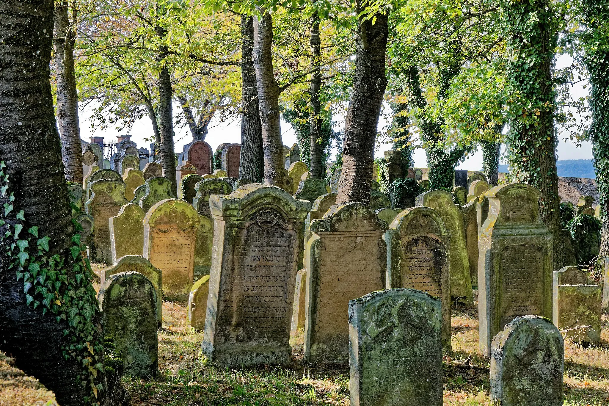 Photo showing: The Jewish cementery in Weikersheim.