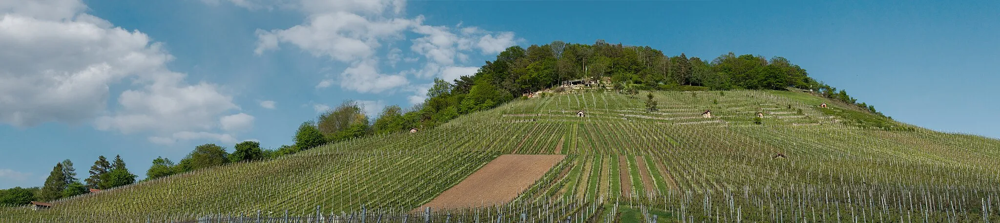 Photo showing: Der Kleinheppacher Kopf aus den darunterliegenden Weinbergen gesehen.