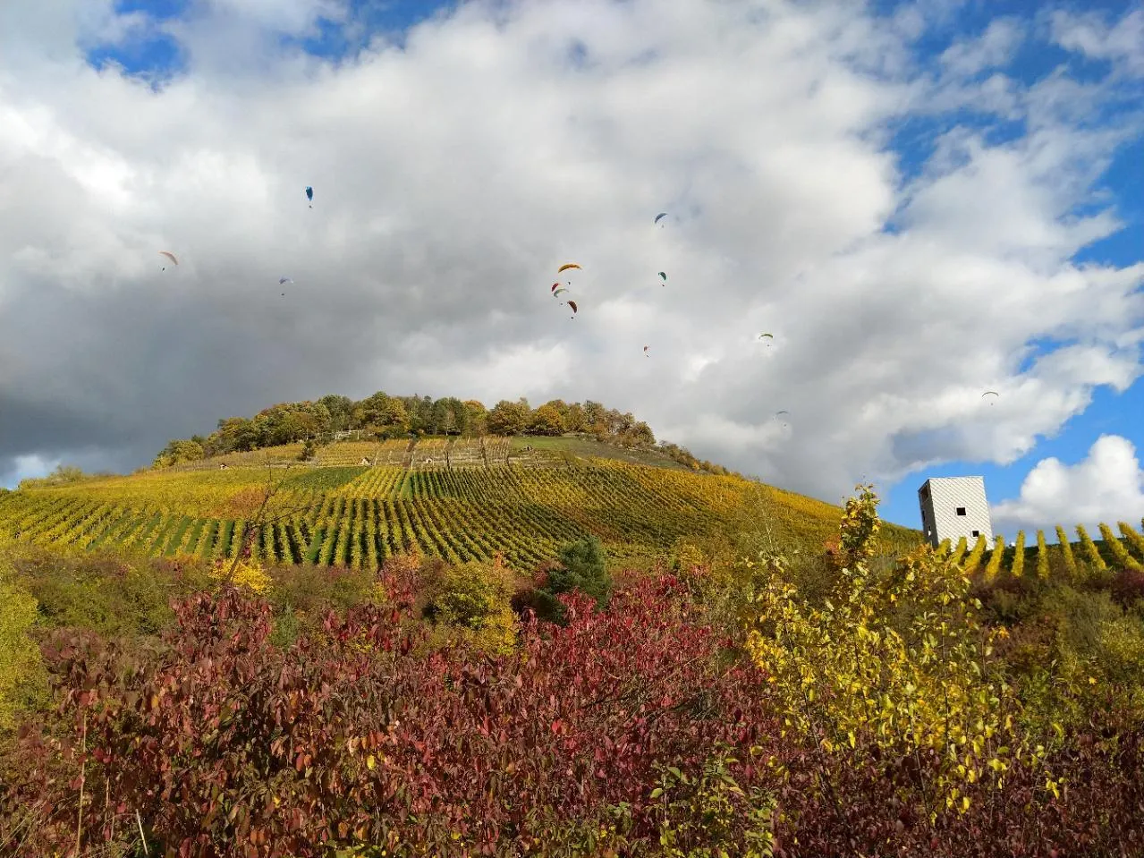 Photo showing: Der Kleinheppacher Kopf bei Korb im unteren Remstal: Standort für Weinbau und Startplatz für Paragleiter