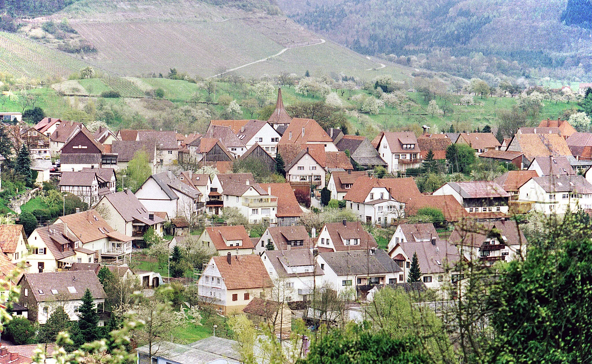 Photo showing: Ochsenbach von Westen