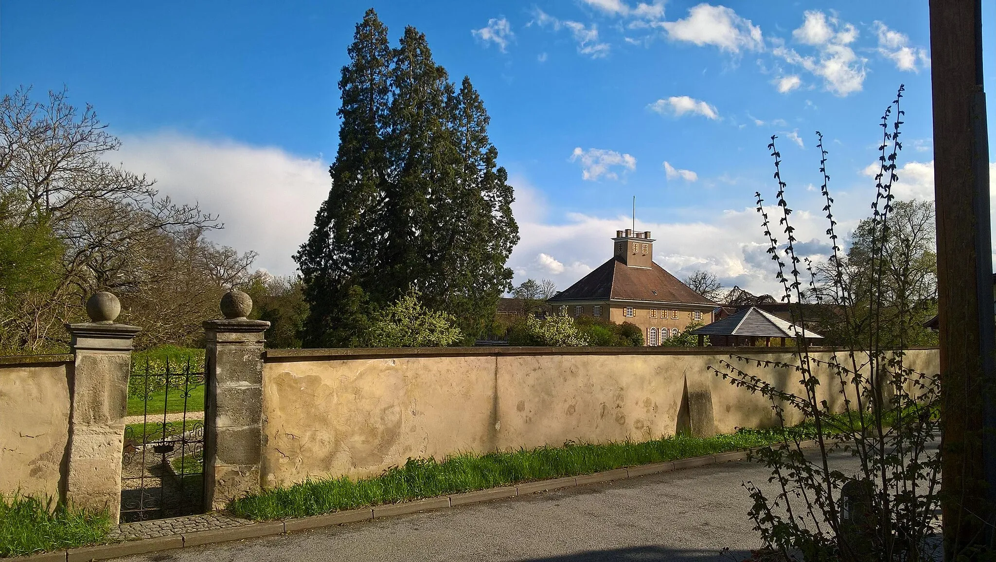 Photo showing: Mit schönem Mammutbaum im Schlosspark. Im 19. Jahrhundert profitierte auch der Schlosspark in Fachsenfeld von der Wilhelma- Saat.