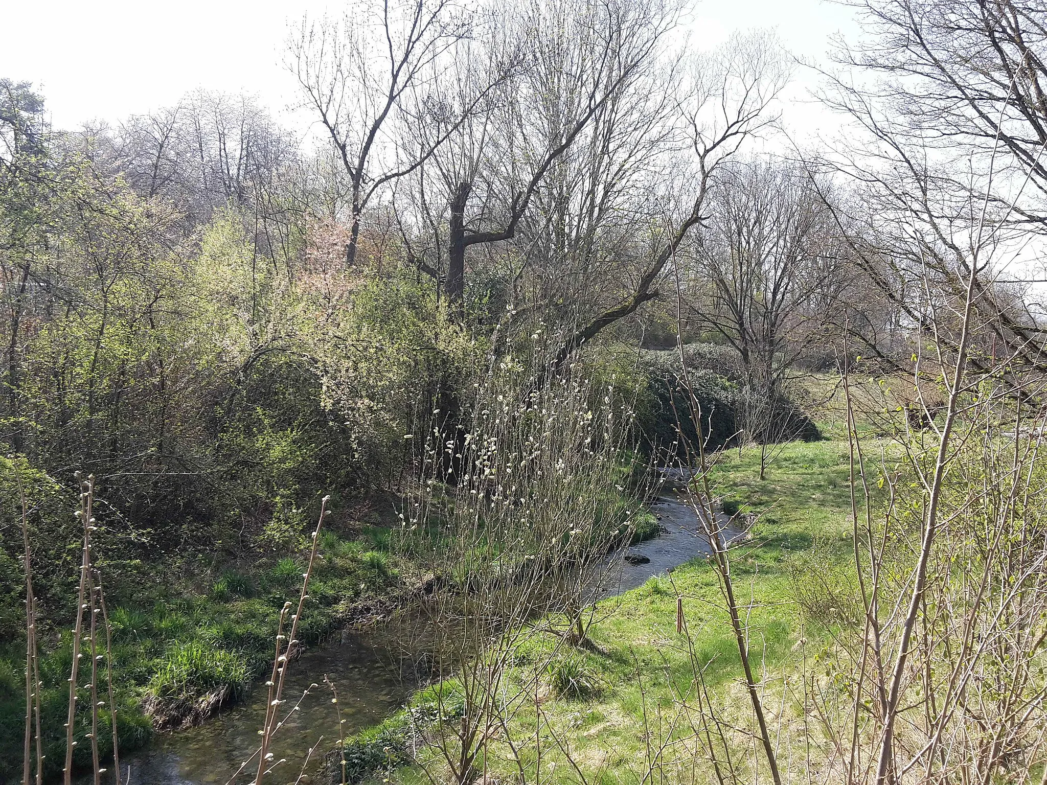 Photo showing: Renaturiertes Teilstück des mittleren Gründelbachs nahe dem Chinahaus in Freiberg am Neckar.