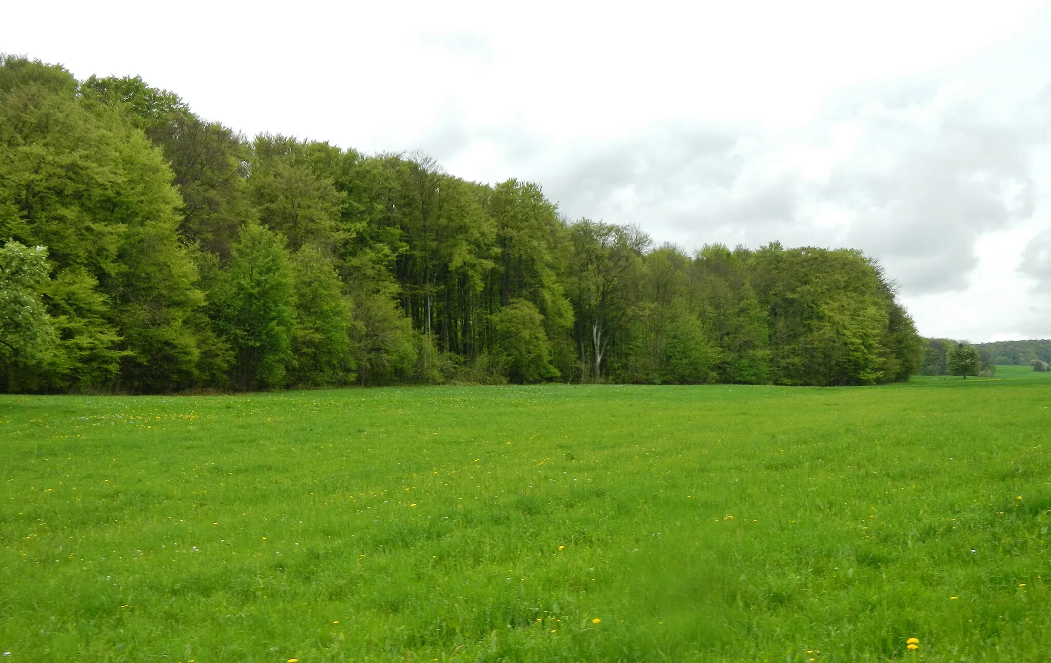 Photo showing: Hochebene der schwäbischen Alb