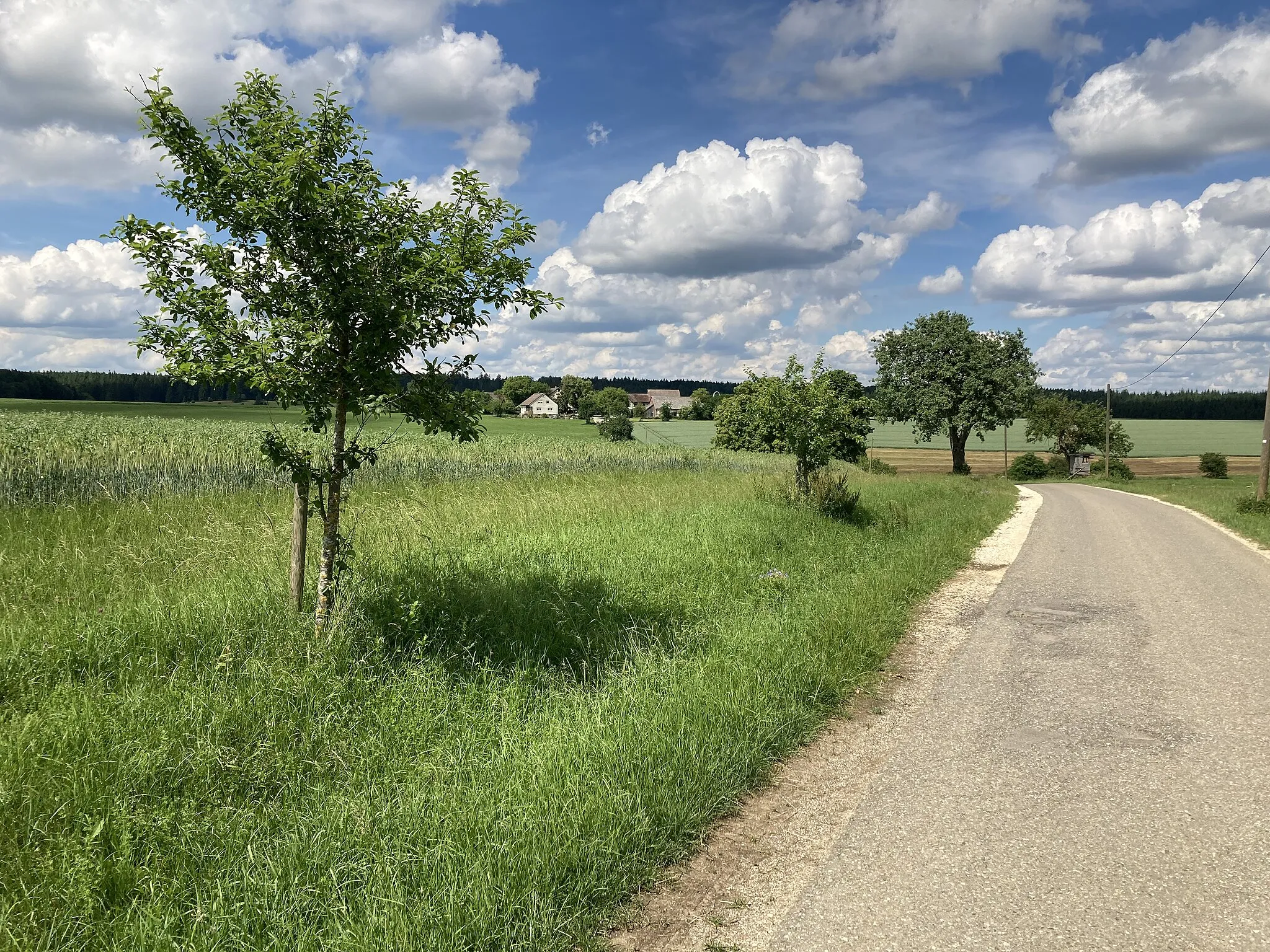 Photo showing: View towards Rüblinger Hof (2021)
