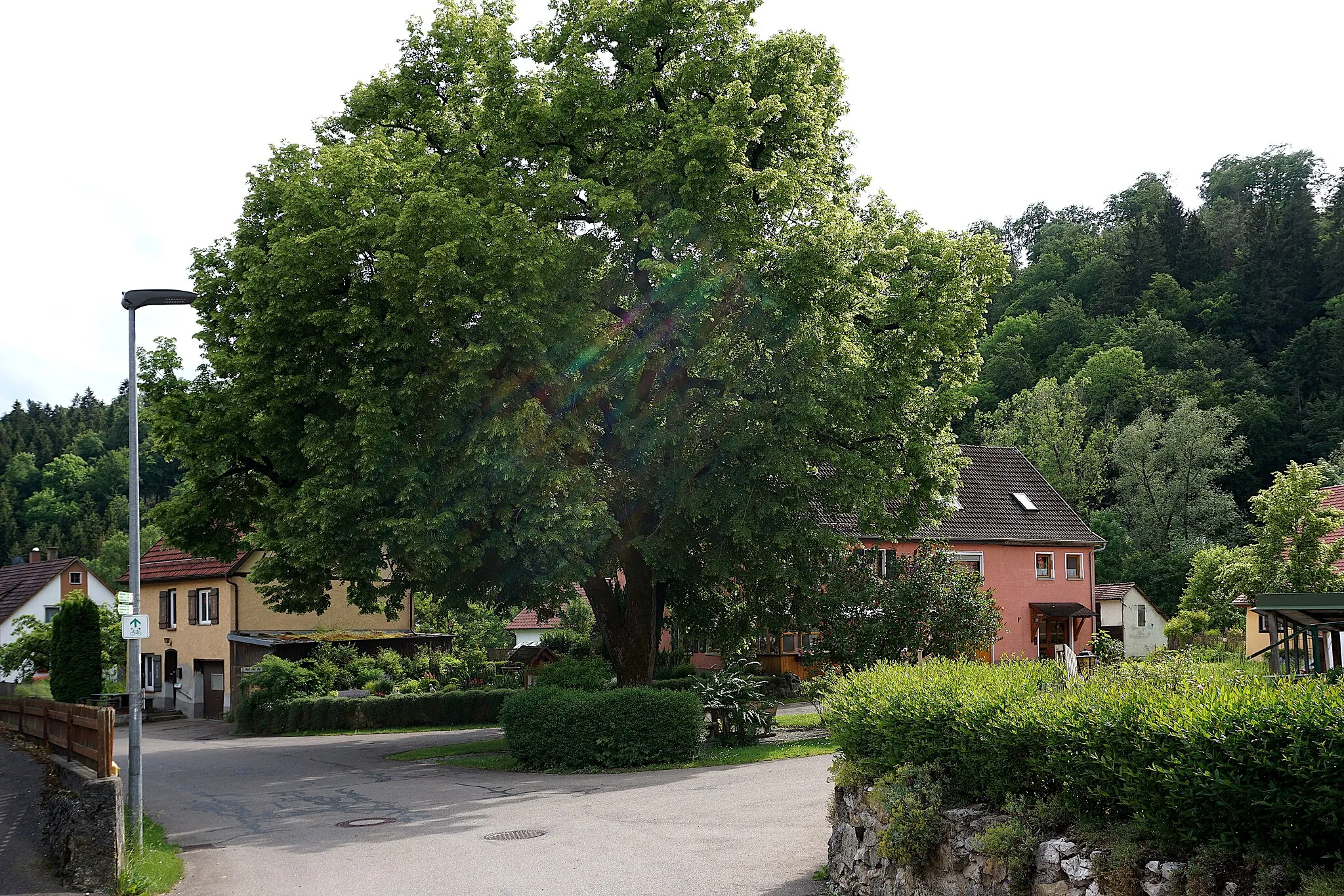 Photo showing: Ortsmitte von Gundelfingen. Die Linde in der Ortsmitte von Gundelfingen ist ein Naturdenkmal mit der Schutzgebiets-Nr. 84150530300.