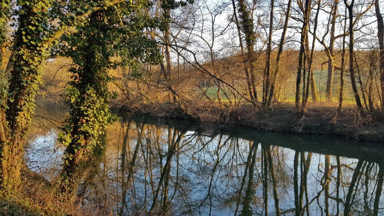 Photo showing: Sehr schöner Uferweg durch den Wald