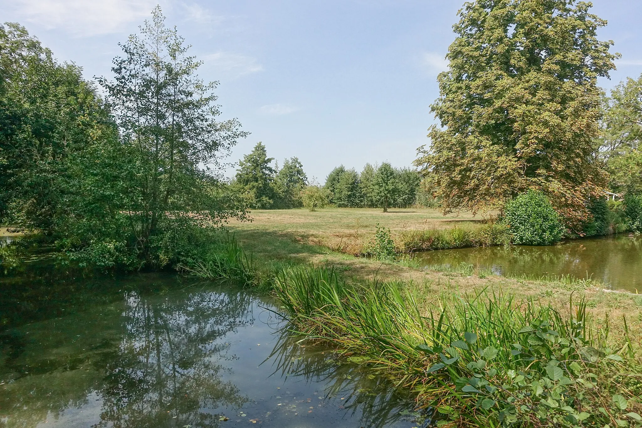 Photo showing: Die Wassergräben und das Burggelände des Burgstalls Unterampfrach