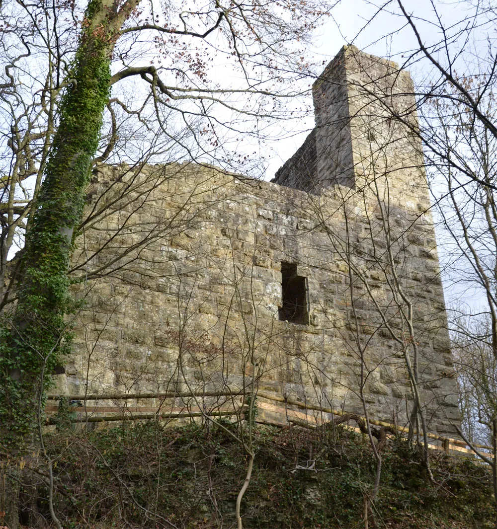 Photo showing: Burgruine Blankenhorn bei Güglingen-Eibensbach. Ansicht von Westen, rechts die Schildmauer.