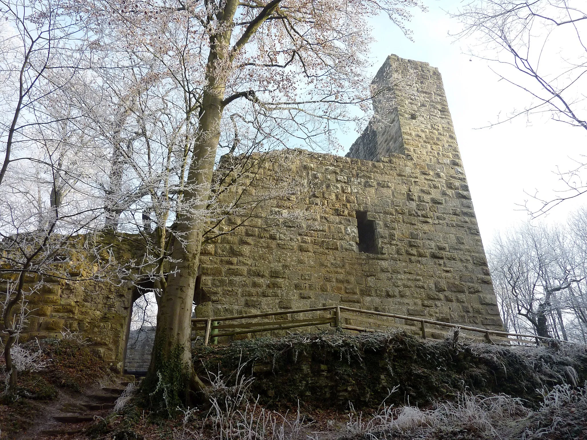 Photo showing: Burg Blankenhorn von Westen.