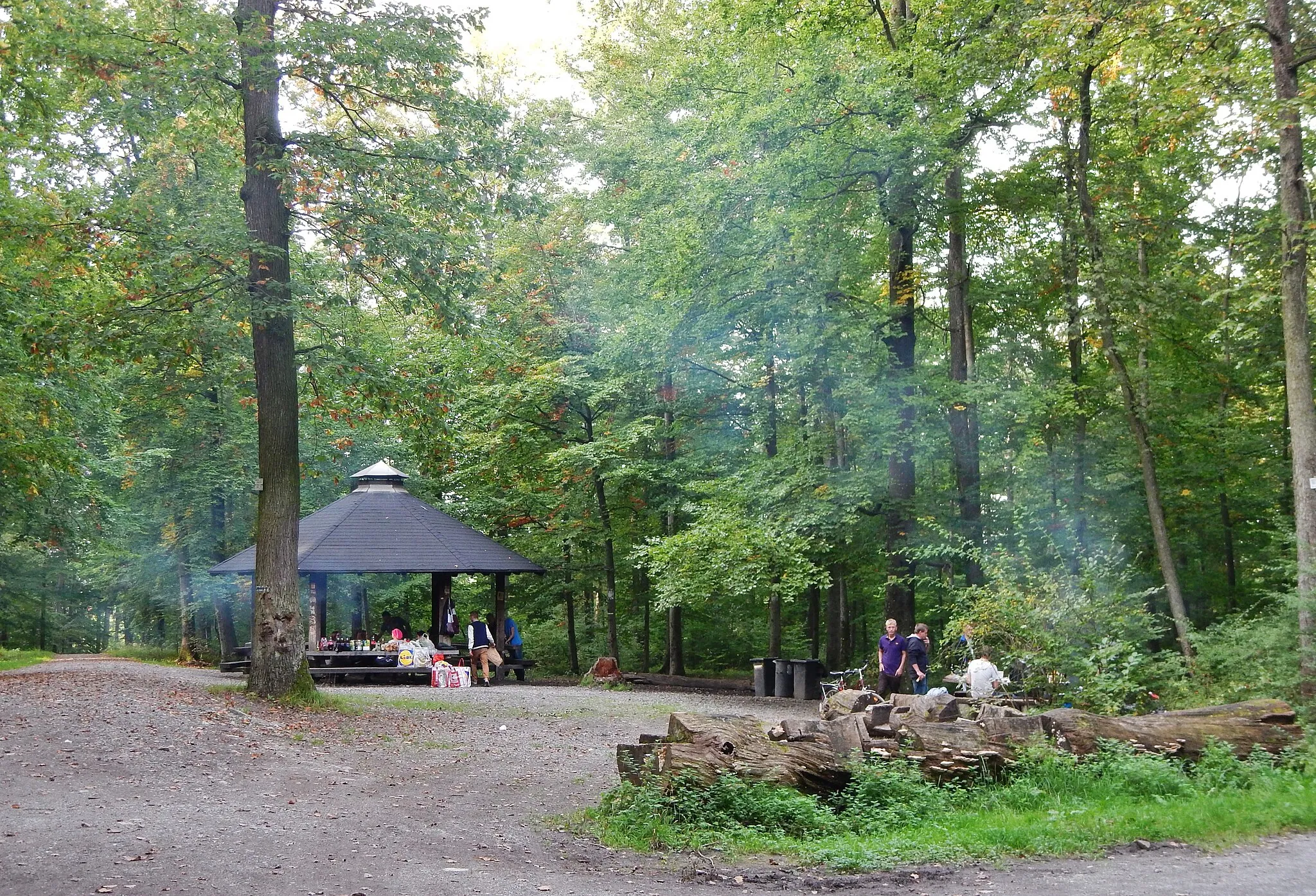 Photo showing: Grillplatz am Pfaffenwald