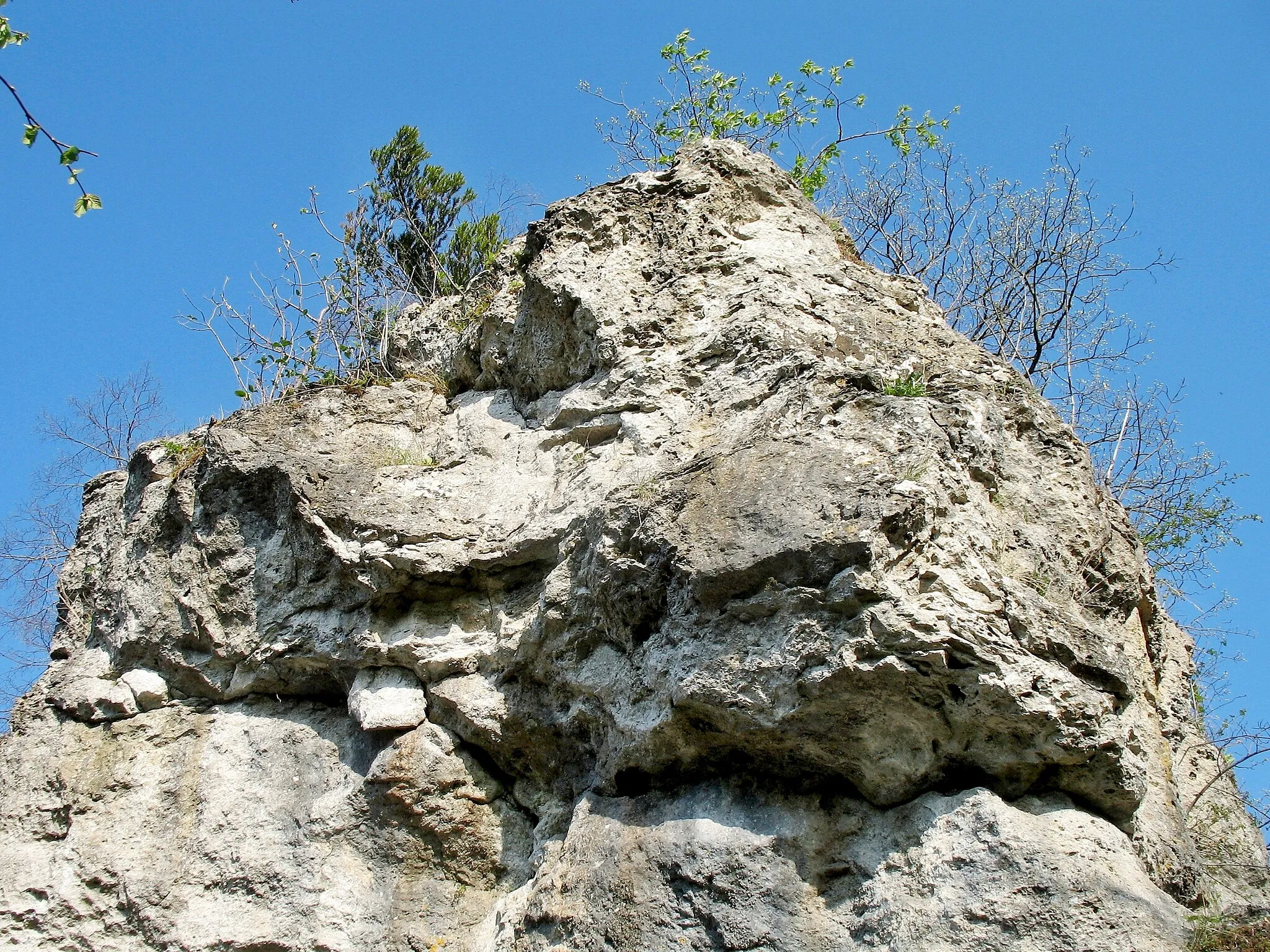 Photo showing: Wäldlesfels, natural monument in Steinheim am Albuch, Baden-Württemberg, Germany.